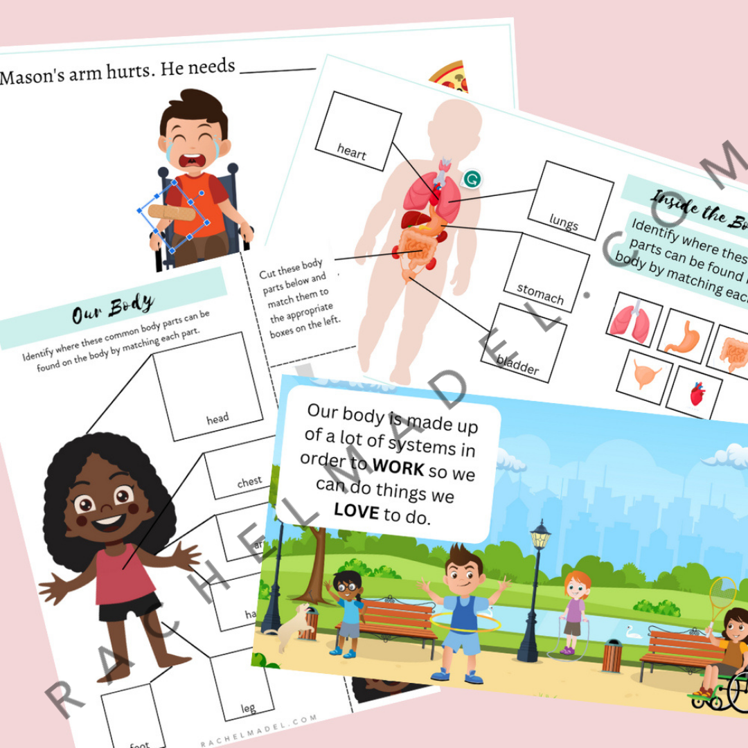 Parts of the Body Bundle watermarked .png