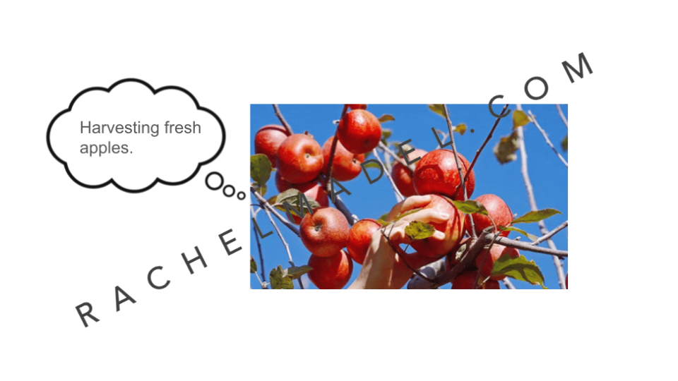 Commenting with gifs  (6).png