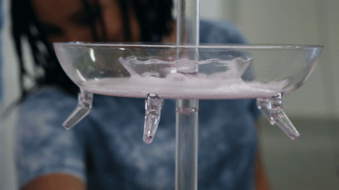 giphy (3).gif