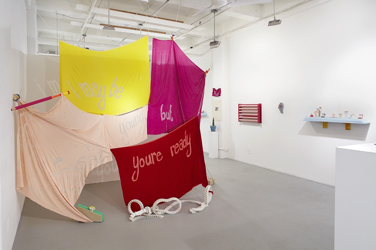 Pamela Council Tenderheaded-installation view 1.jpg