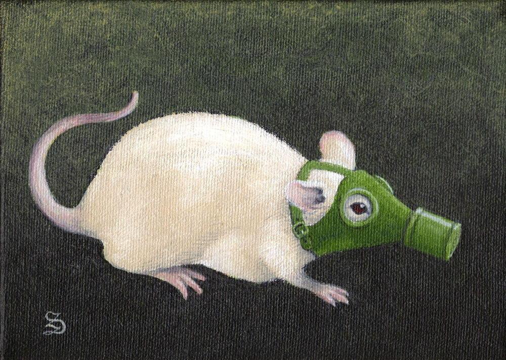 The Cautious Rat