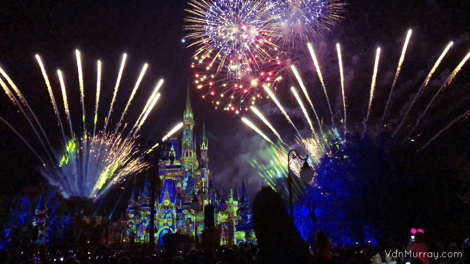 Magic Kingdom Celebration
