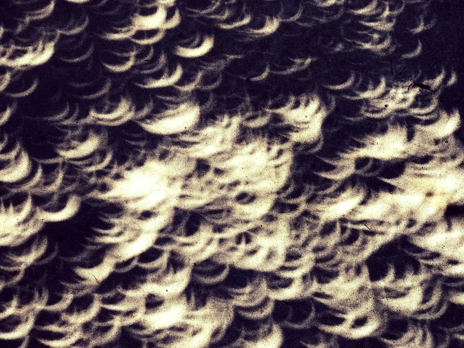 Solar Eclipse