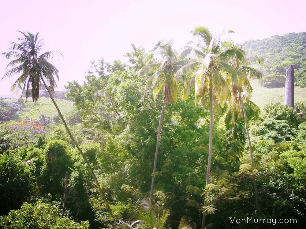 St Kitts