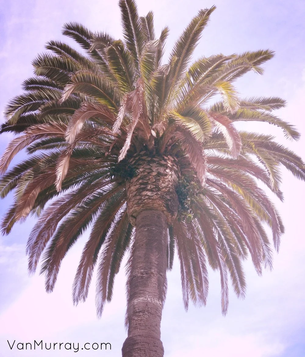 Coronado
