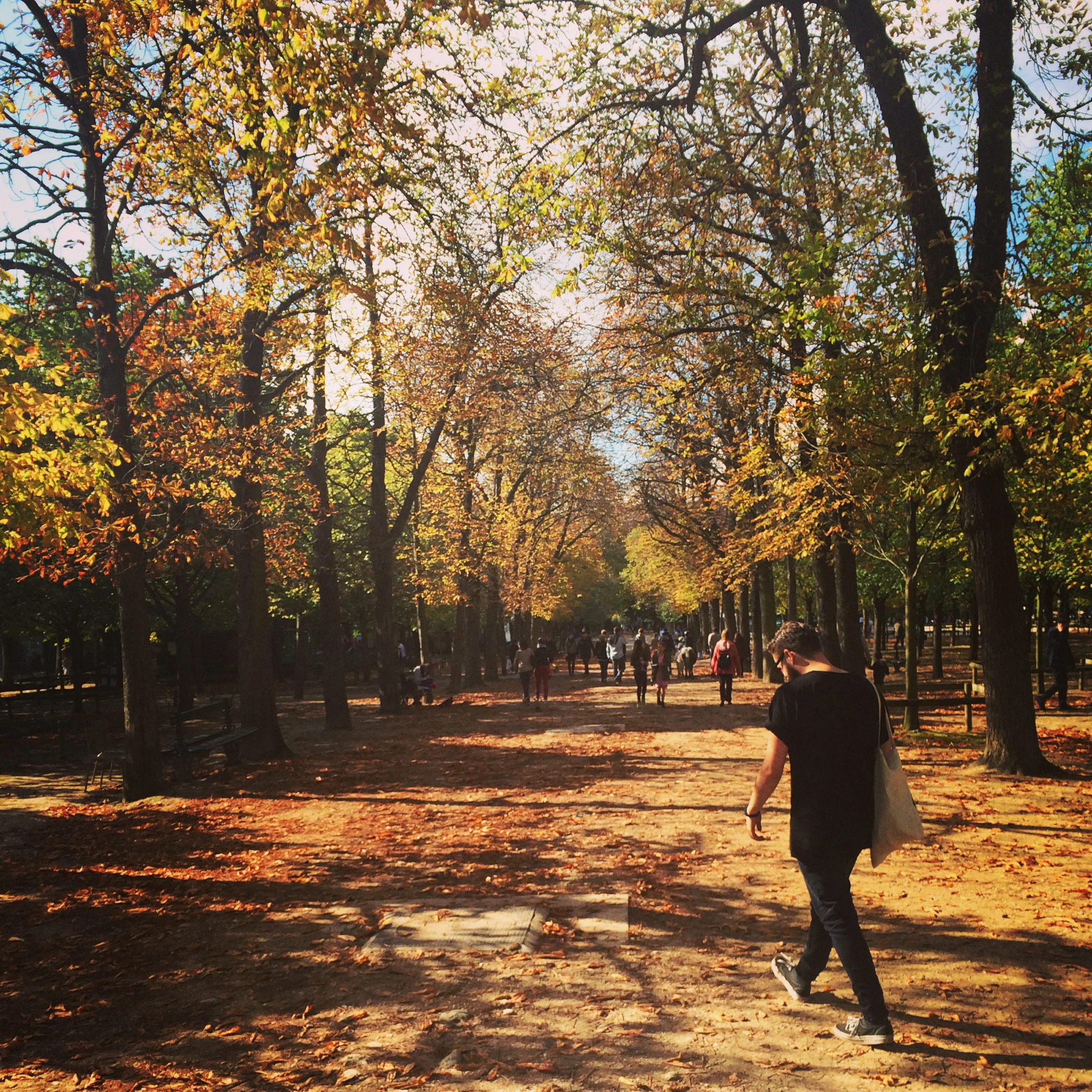 Jardin du Luxembourg 