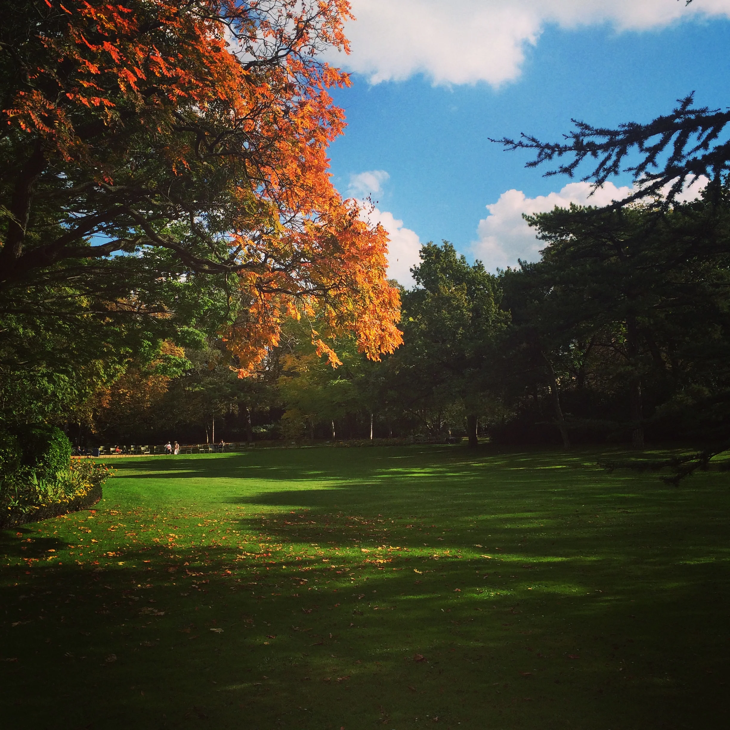 Jardin du Luxembourg 