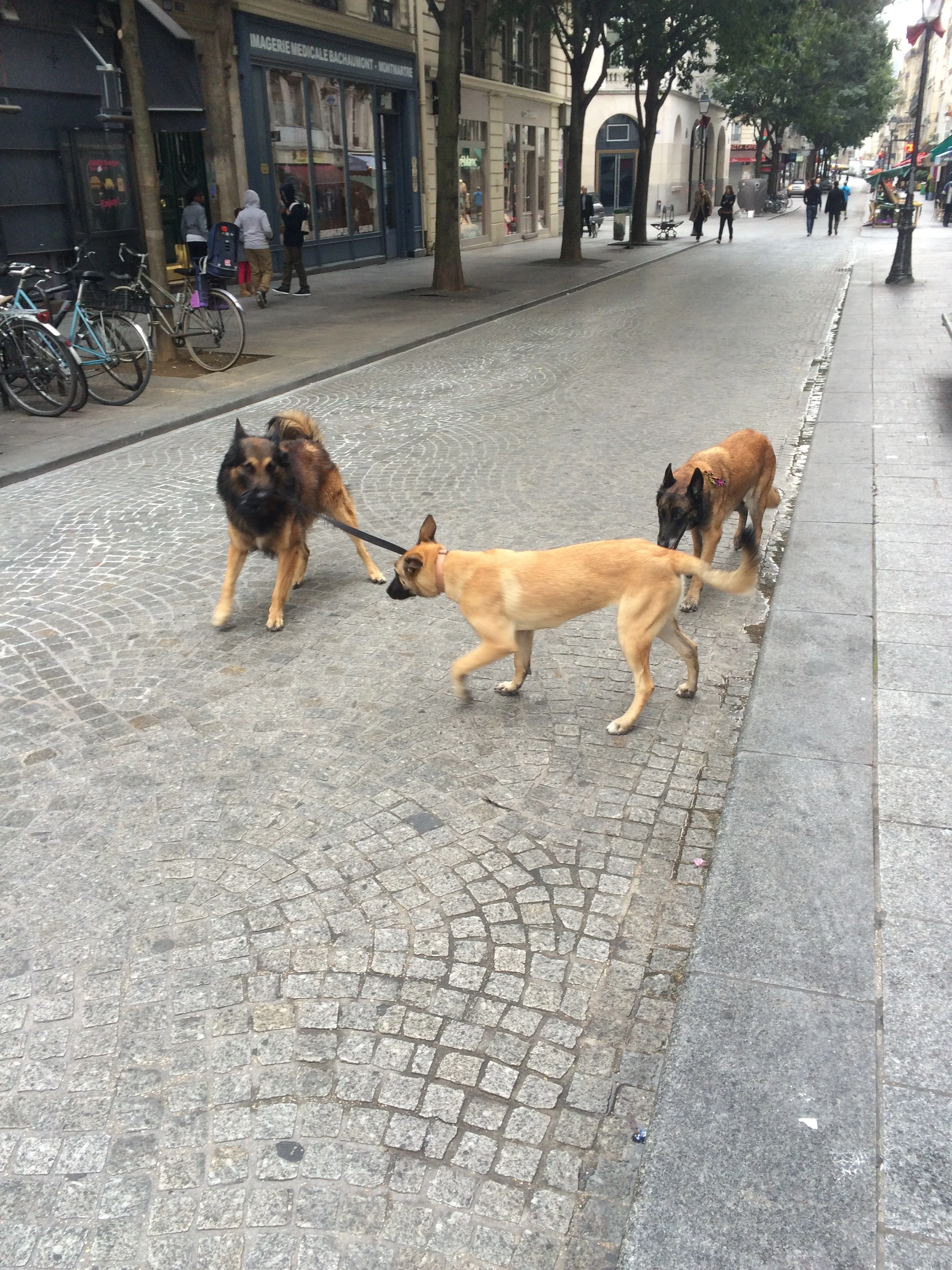 Walkies! 
