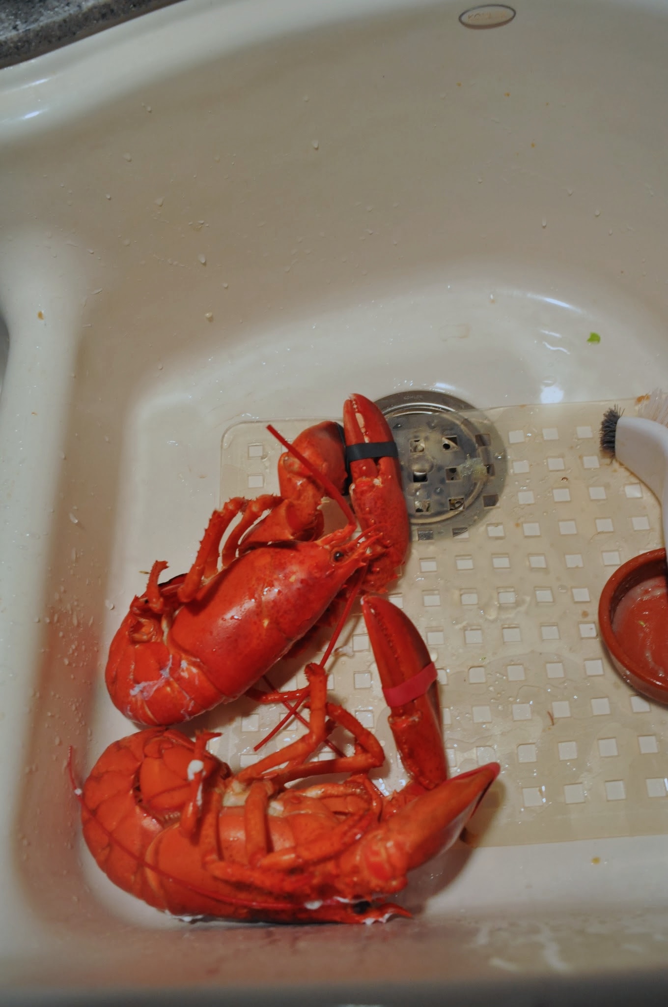 DSC_1315.jpg