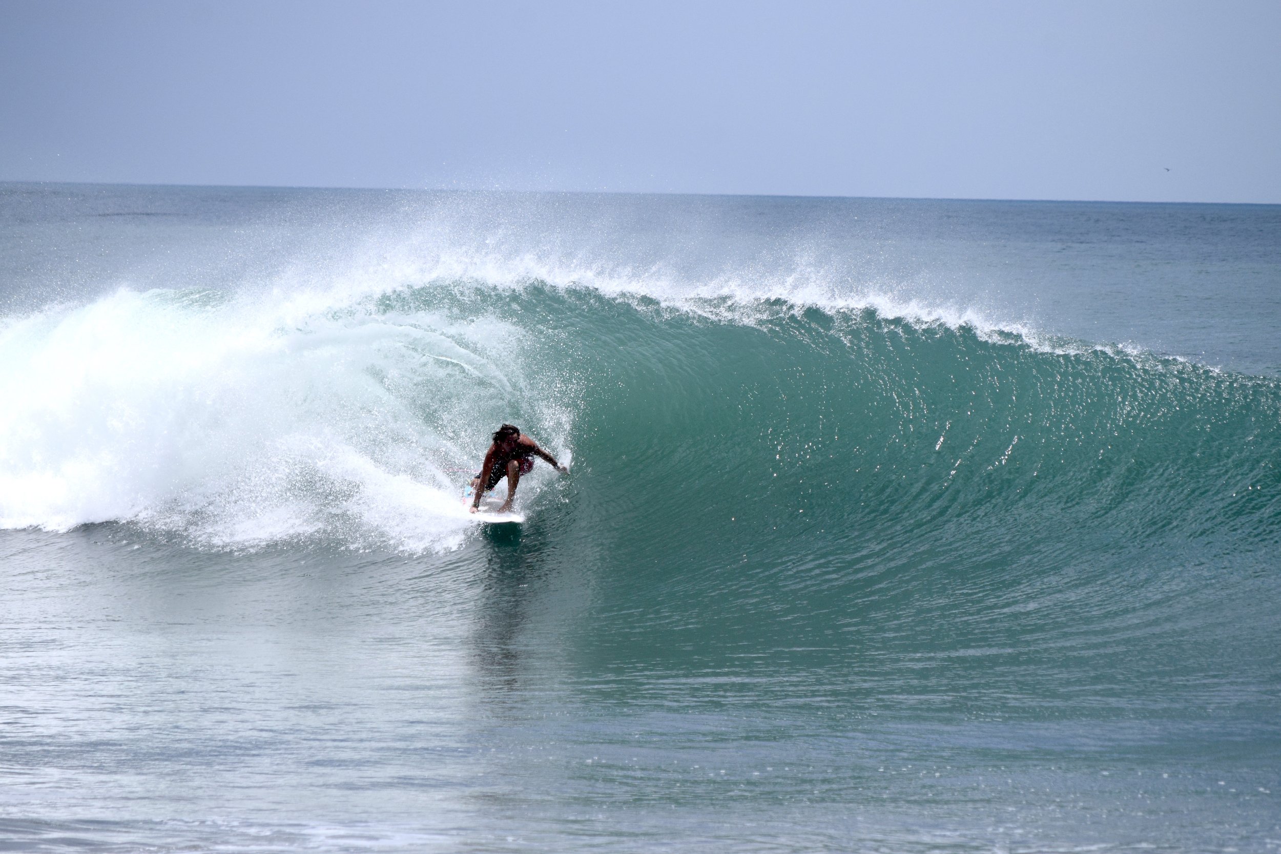 DSC_0214.jpg