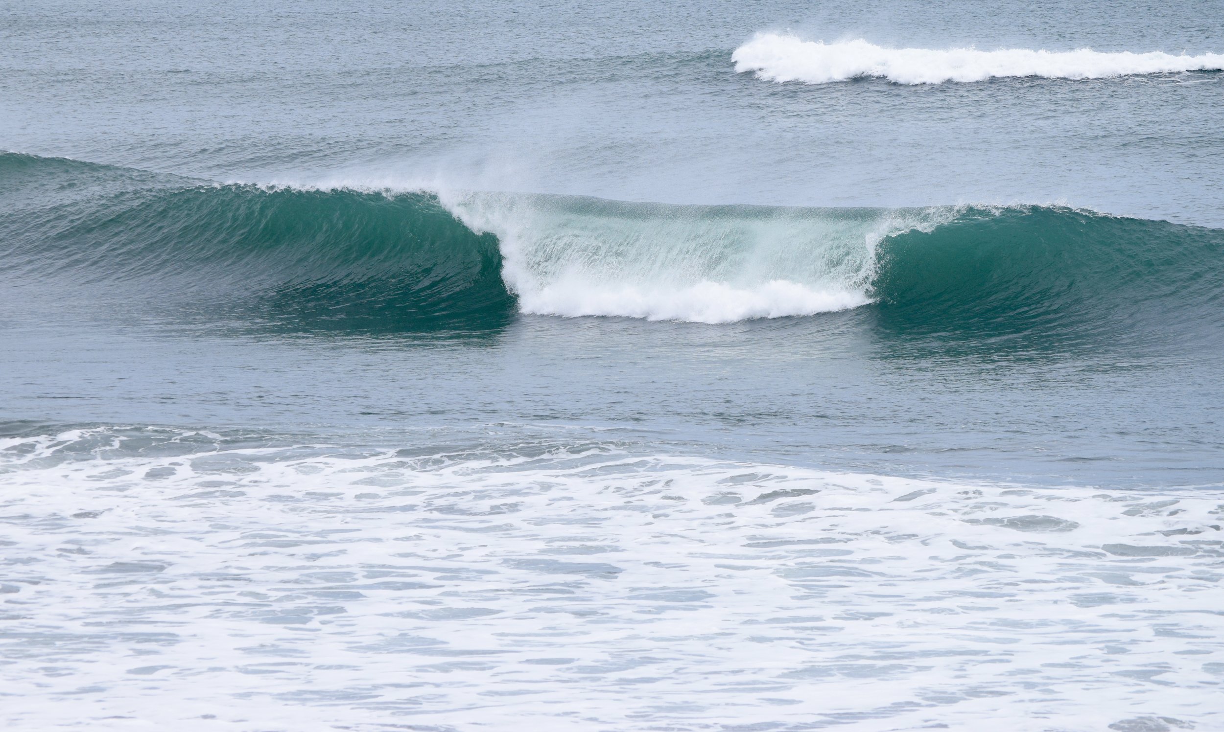 DSC_0693.jpg
