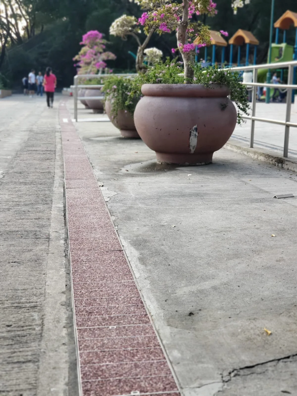 ‎Douglas 傳來的照片(3).jpg