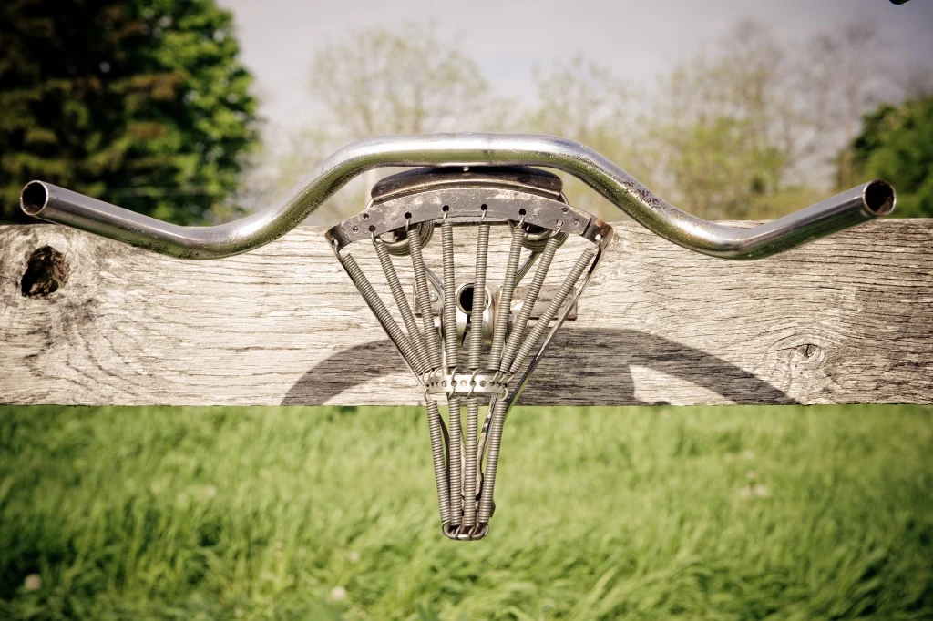 "Water Buffalo" is an example how different combinations of saddle type and handle bars can make different looking animals.