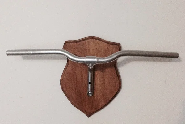 Less can be more. A handle bar mounted on a taxidermy plaque is eloquently simple.