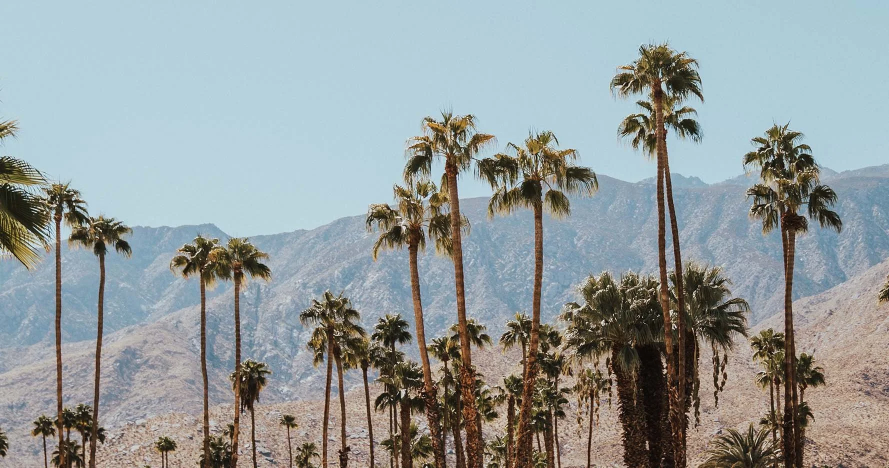 Main_Header_Banner.jpg
