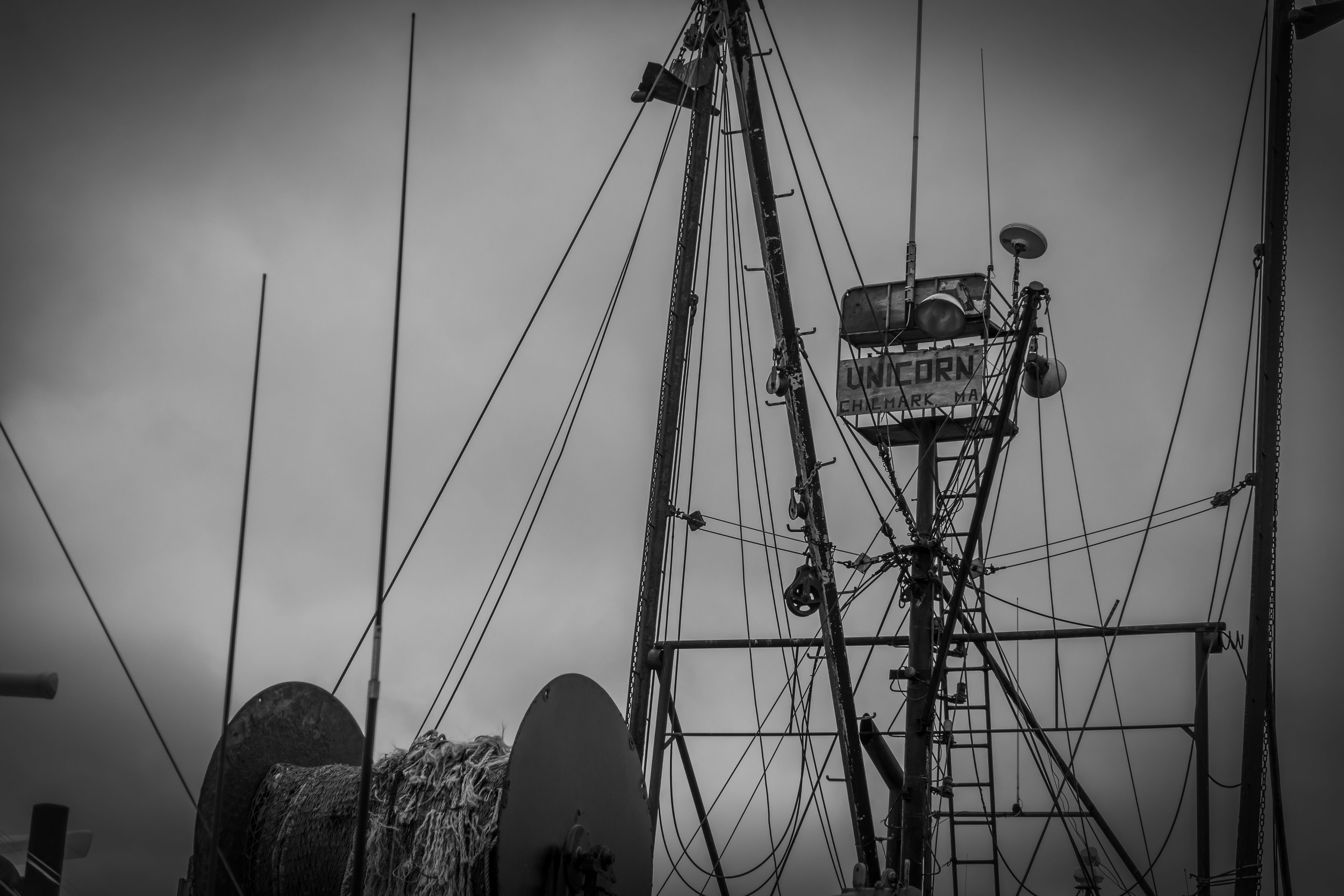 DSC_1942-Edit.jpg