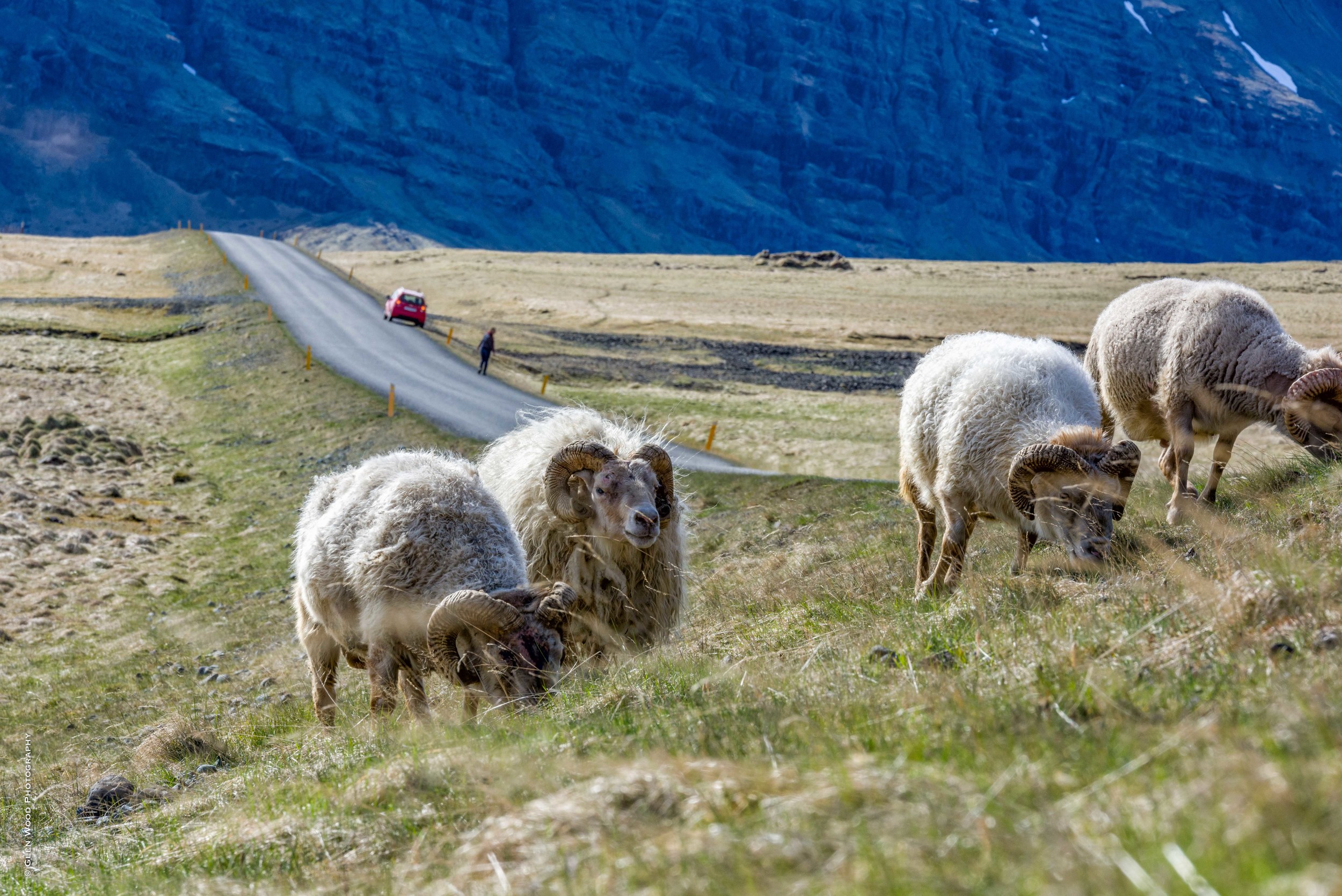 Iceland--43.jpg