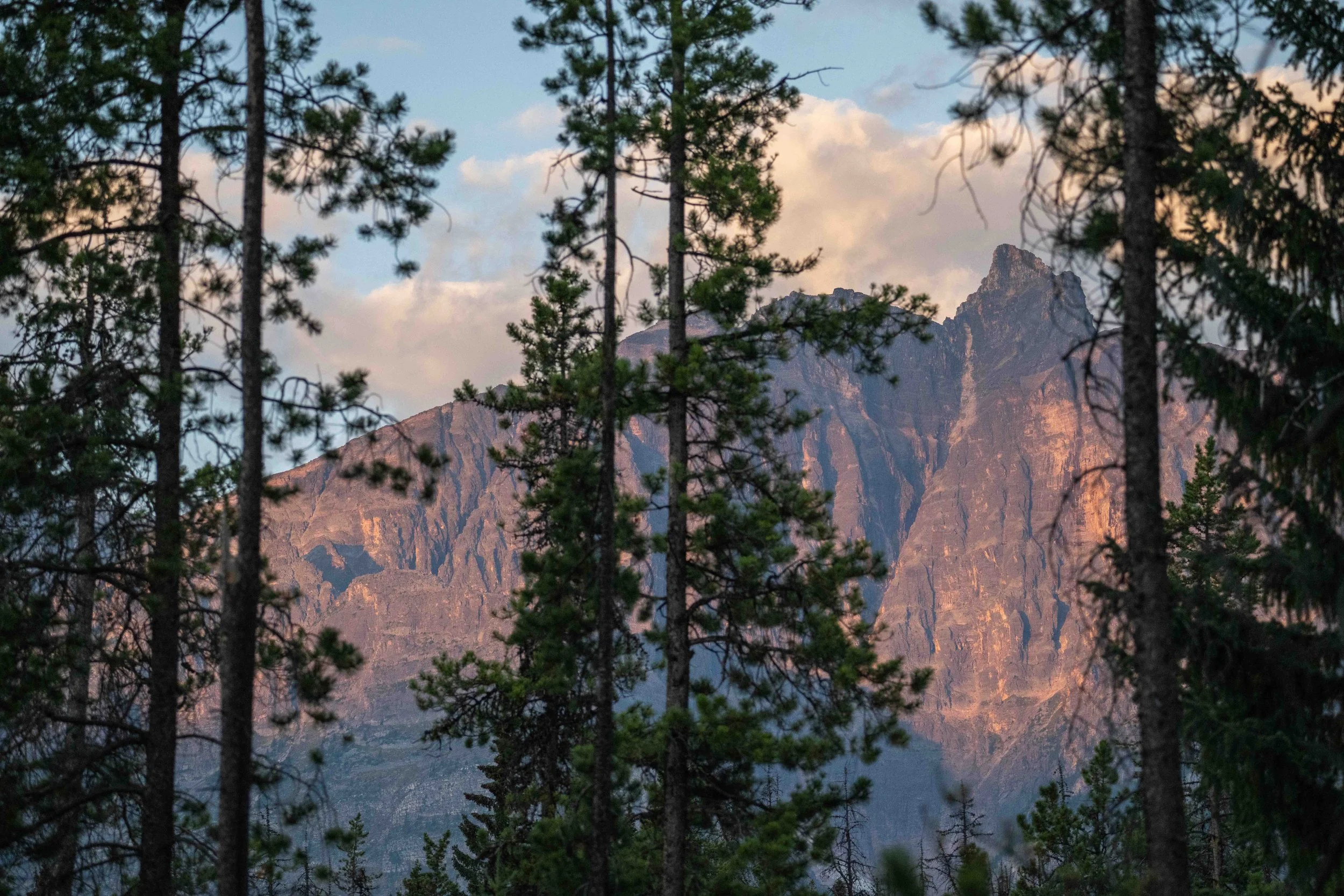 Banff 2025-_DSC9688.jpg