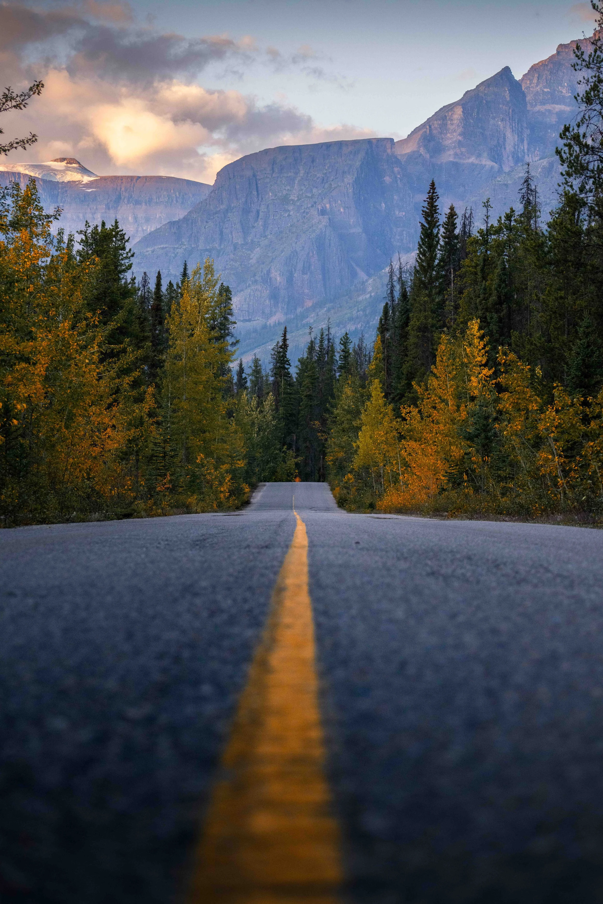 Banff 2025-_DSC9695.jpg