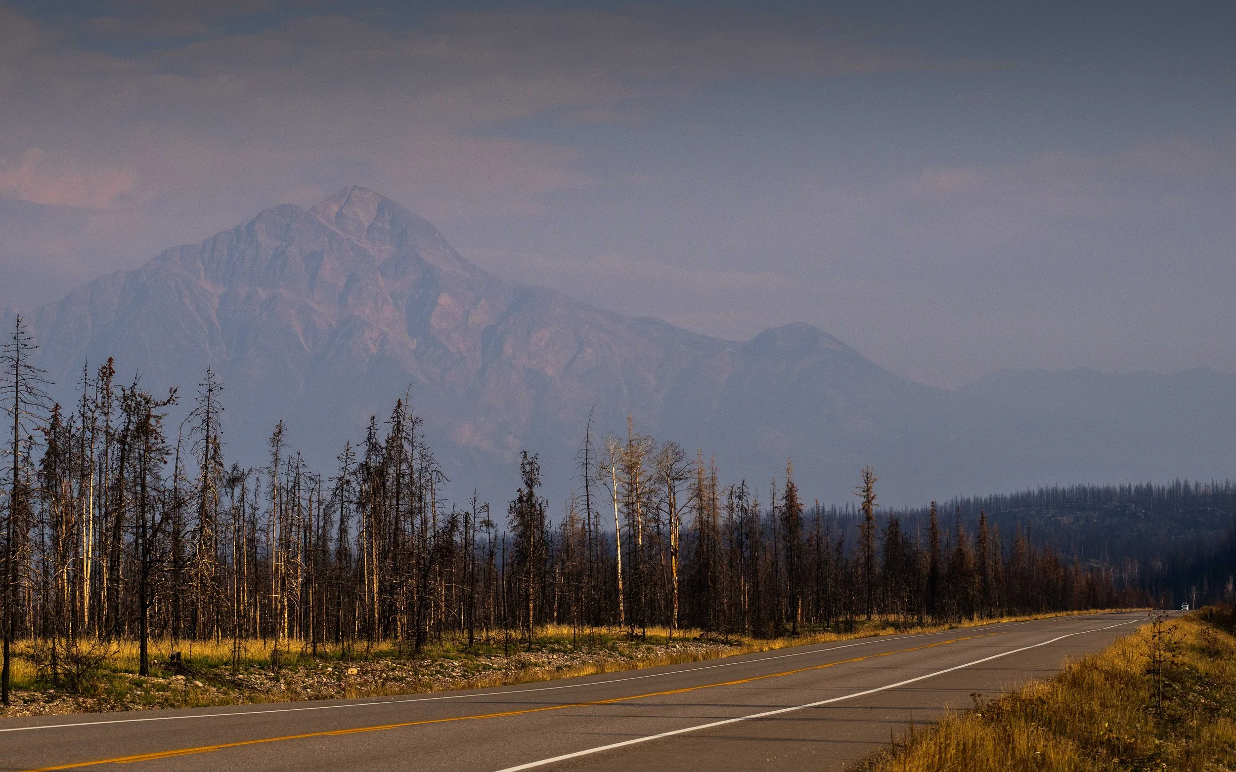 Banff 2025-_DSC9753.jpg