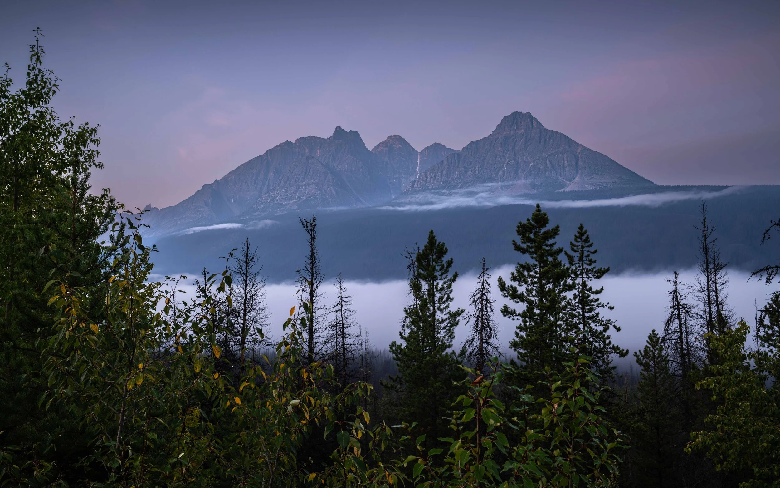 Banff 2025-_DSC9814.jpg