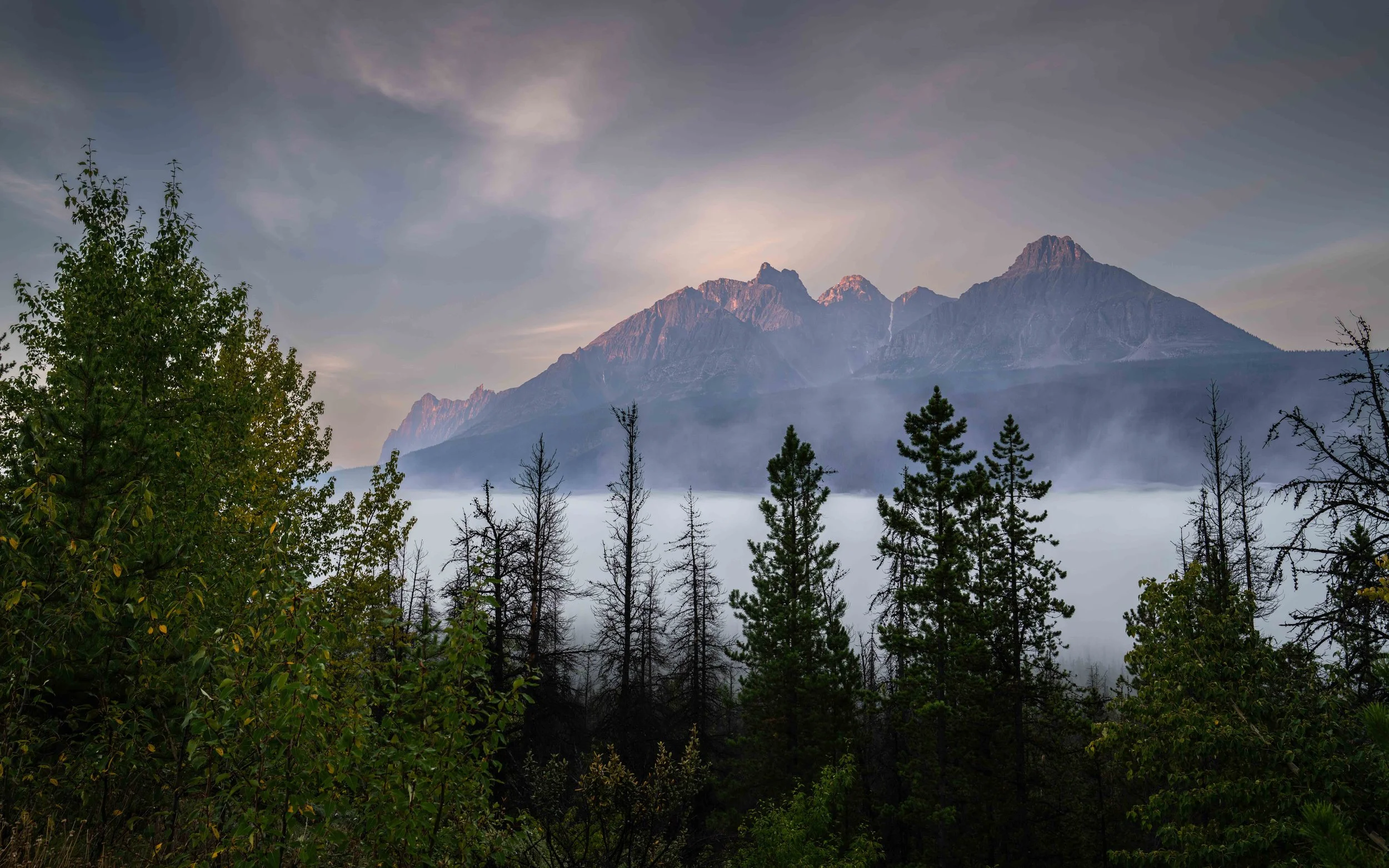 Banff 2025-_DSC9841.jpg