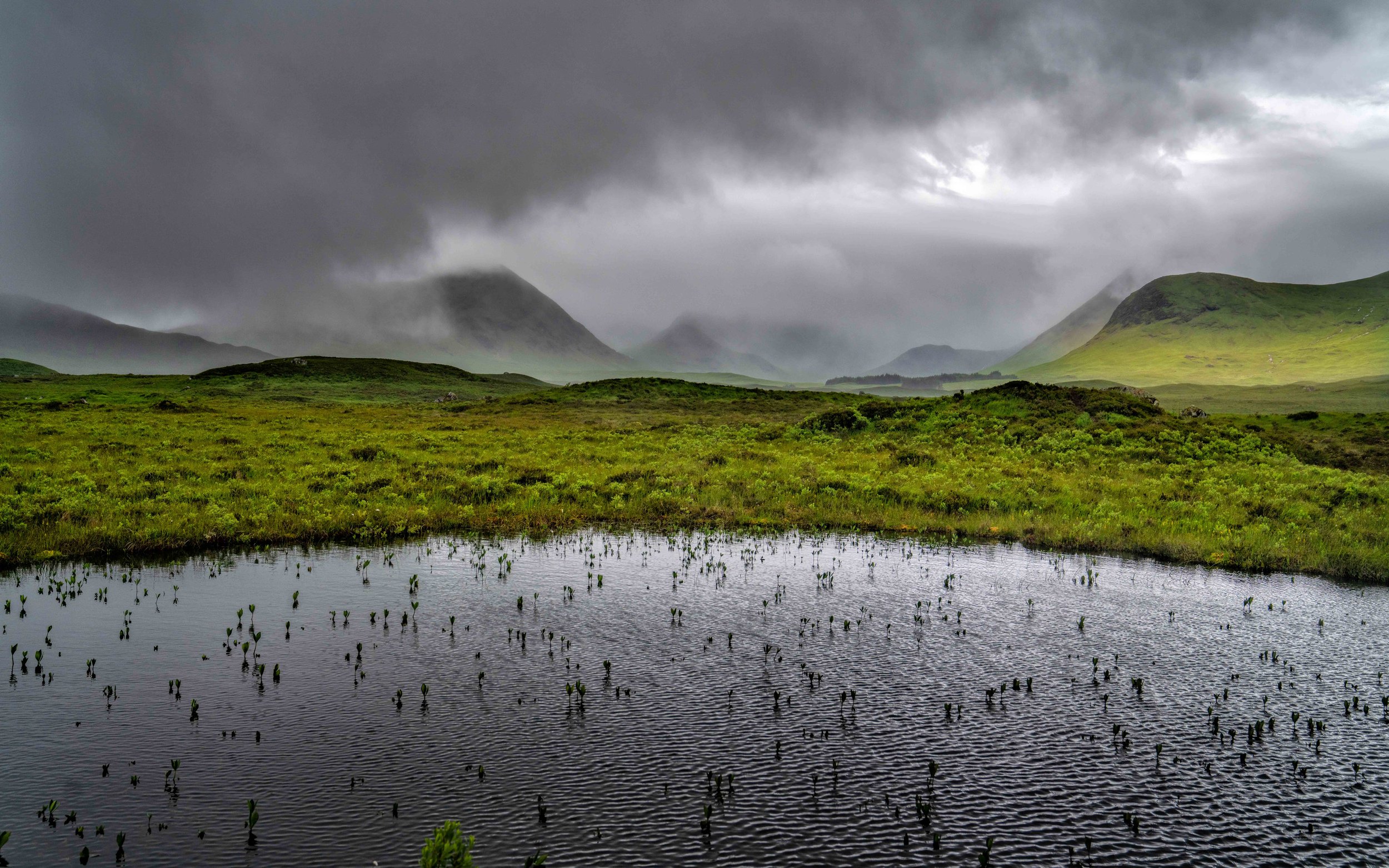 Scotland 2026-_DSC2728.jpg