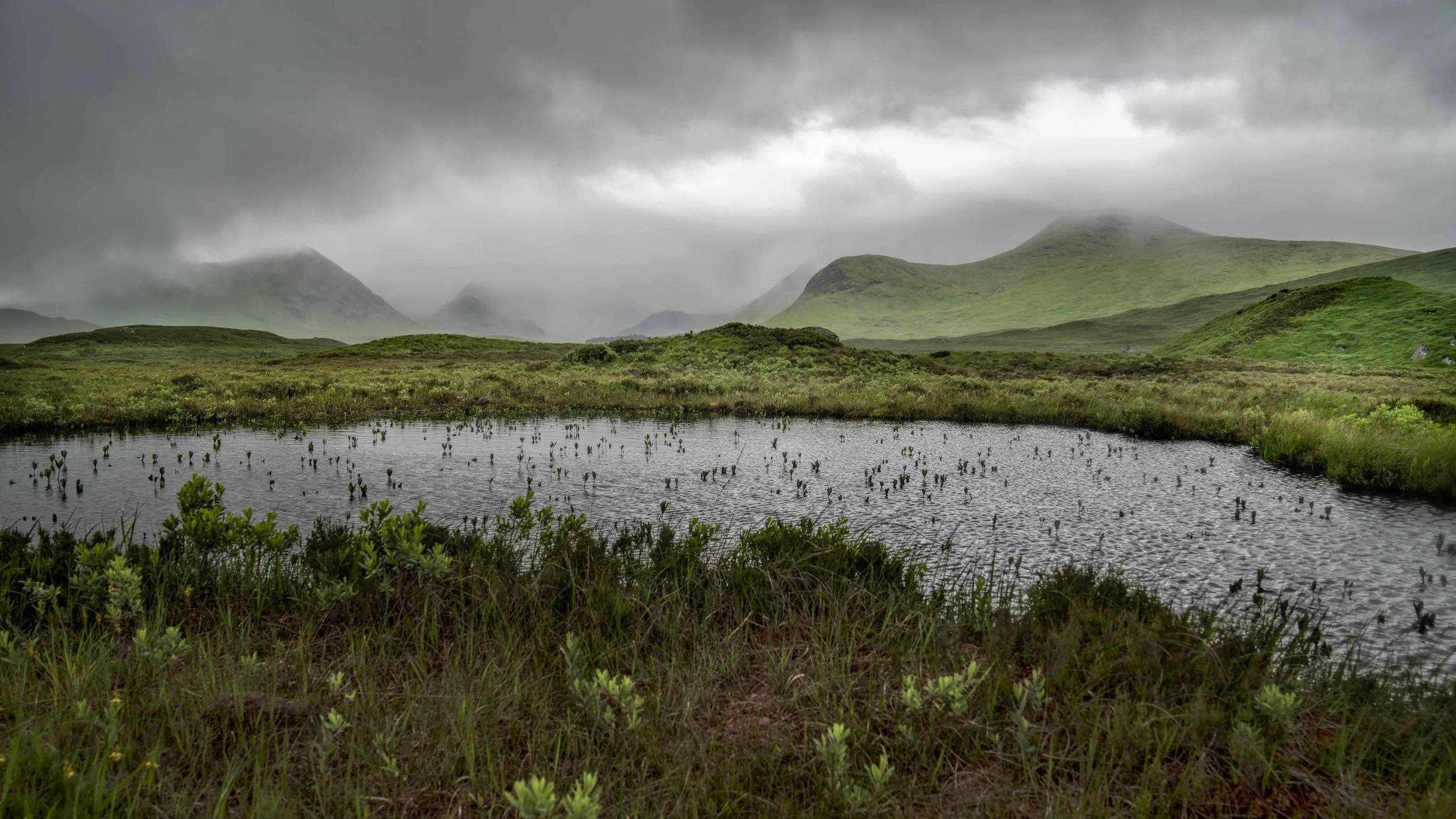 Scotland 2026-_DSC2723.jpg