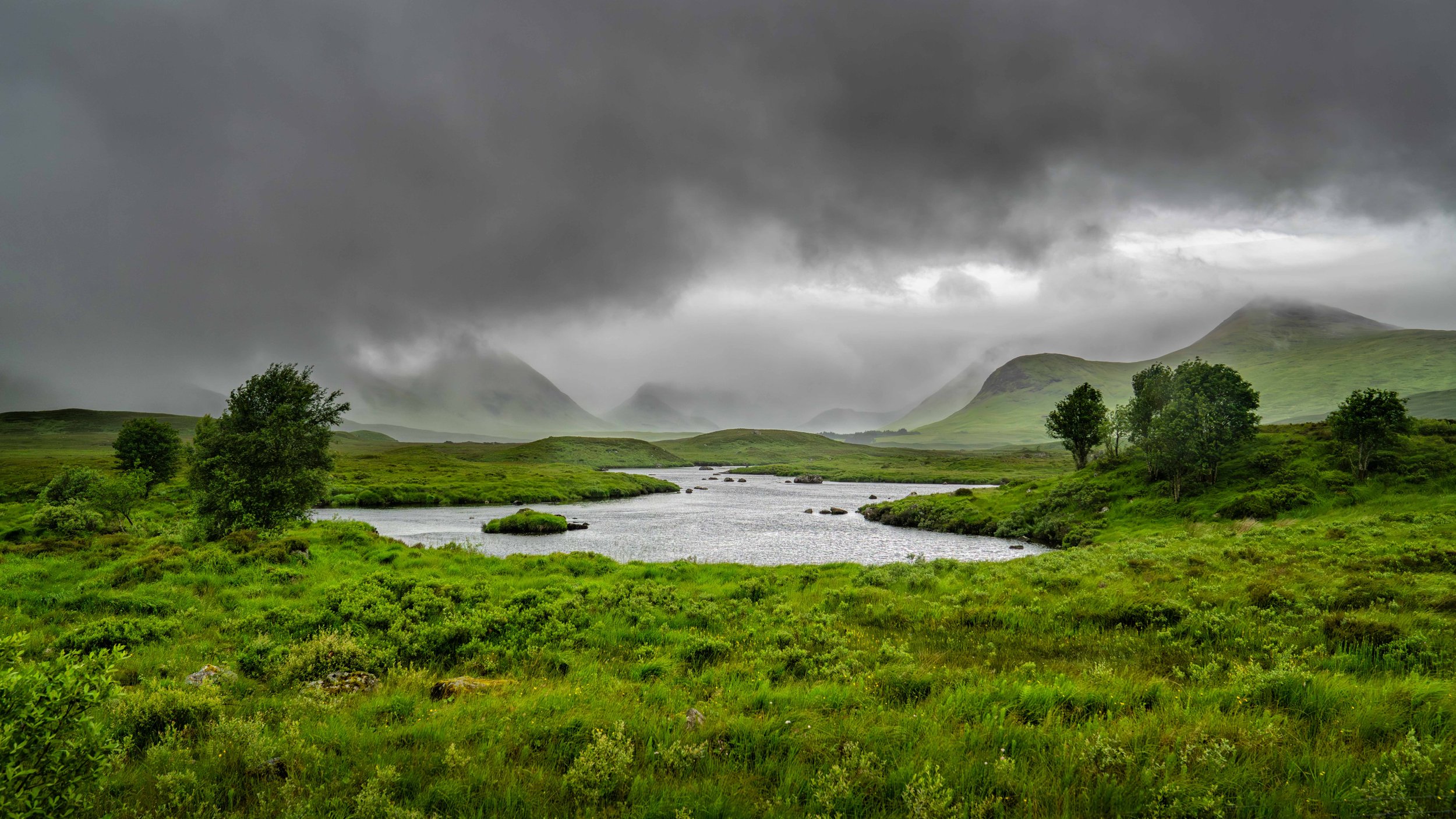 Scotland 2026-_DSC2711.jpg