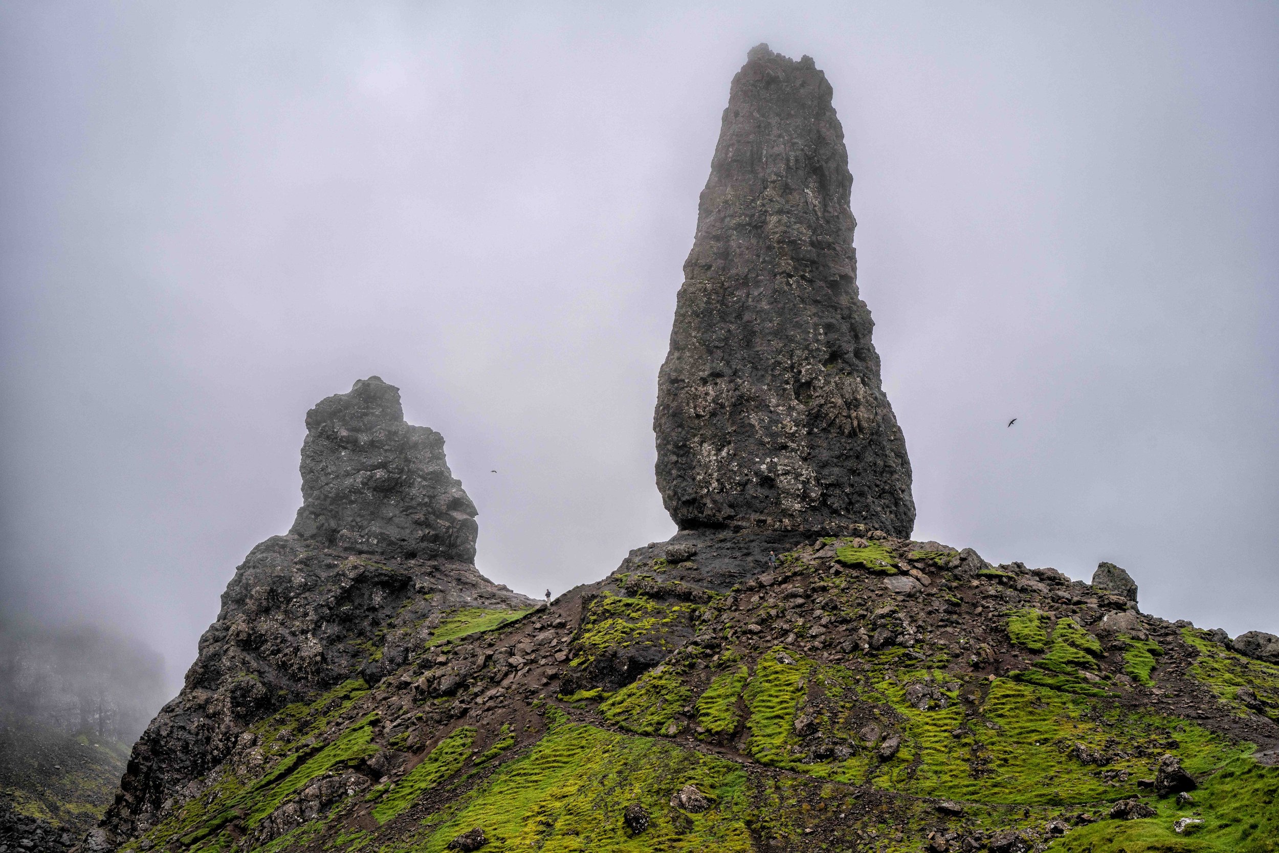 Scotland 2026-_DSC2597.jpg