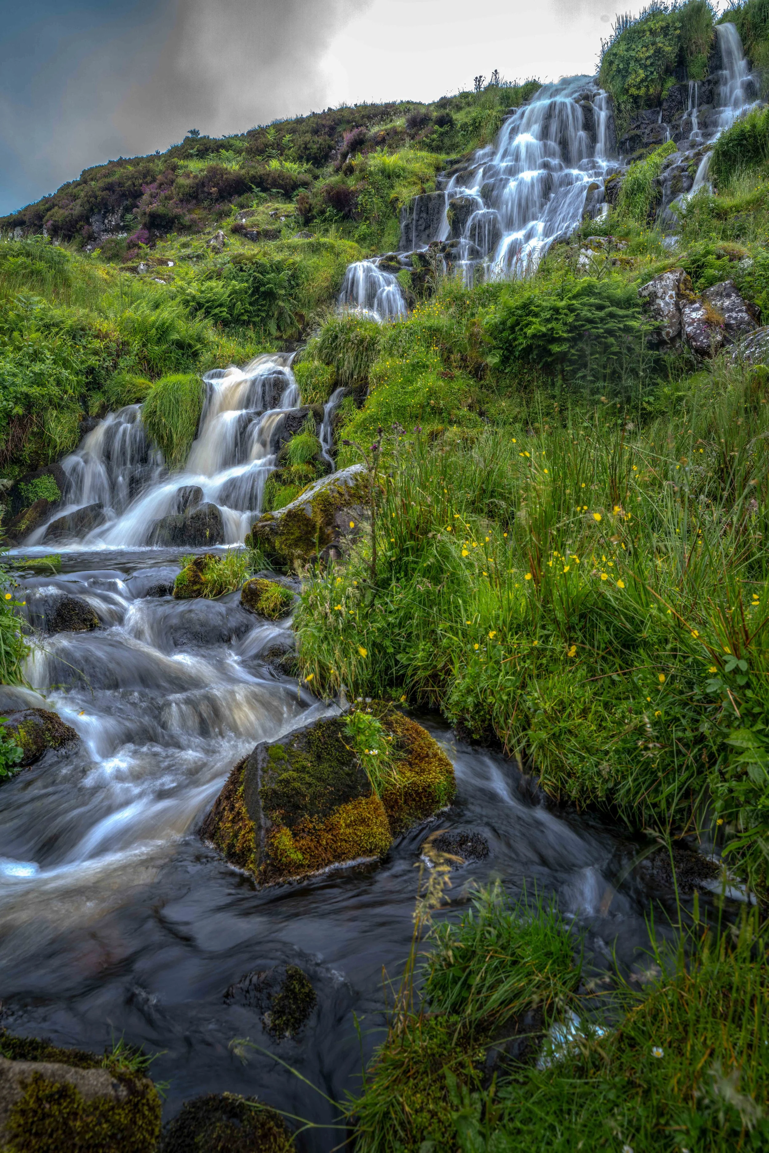 Scotland 2026-_DSC2451.jpg