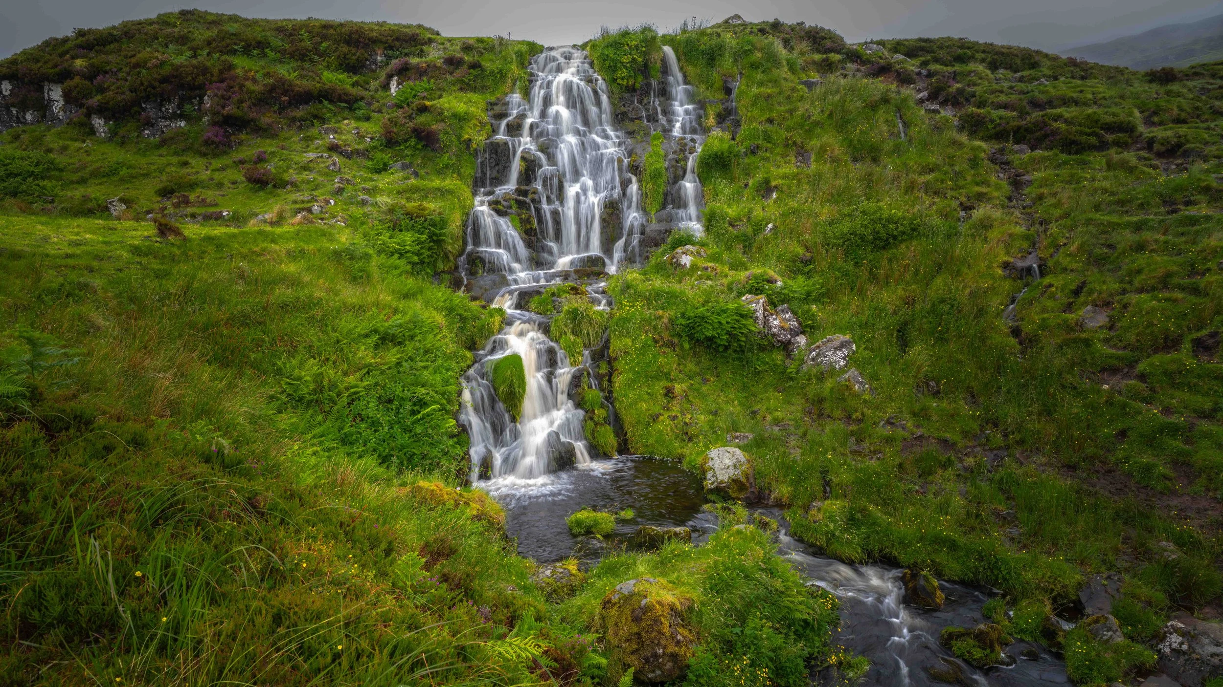 Scotland 2026-_DSC2449.jpg