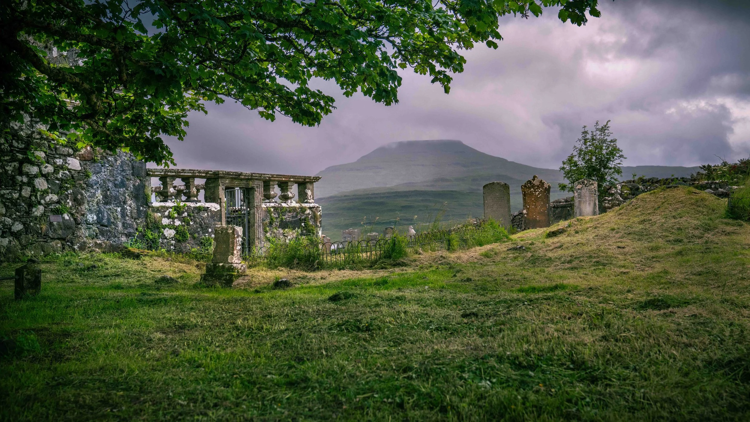 Scotland 2026-_DSC2251.jpg