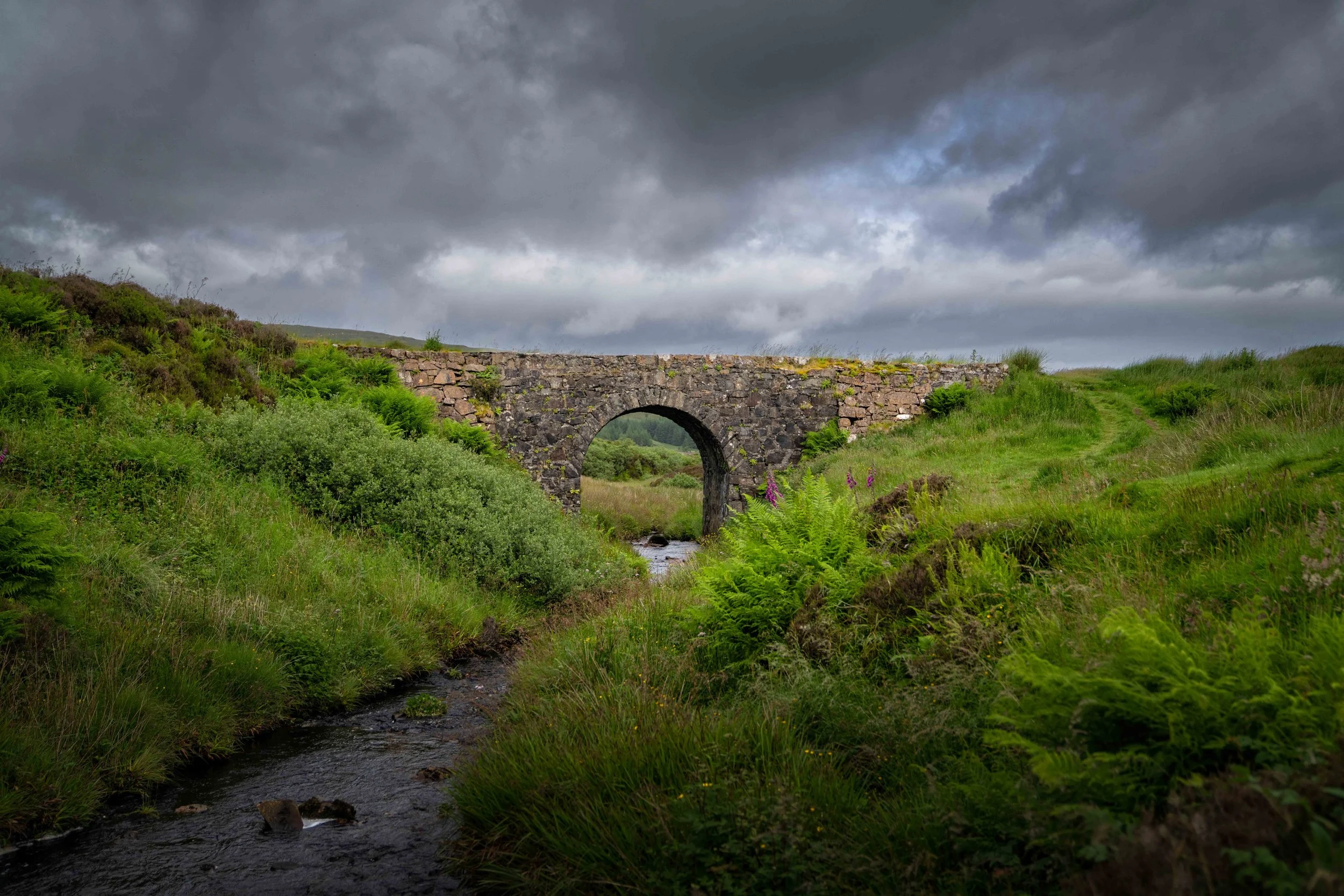 Scotland 2026-_DSC2237.jpg