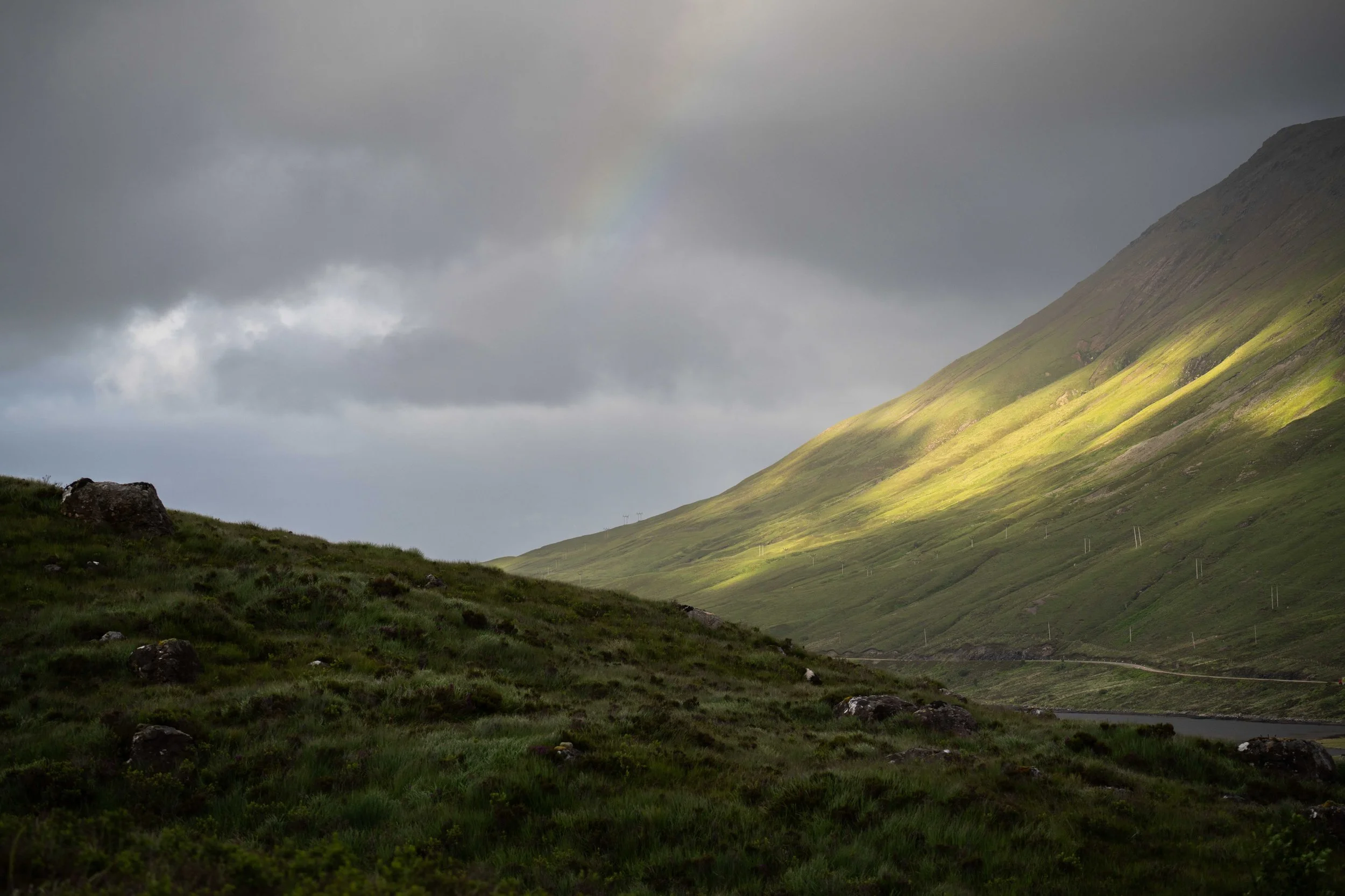 Scotland 2026-_DSC2206.jpg