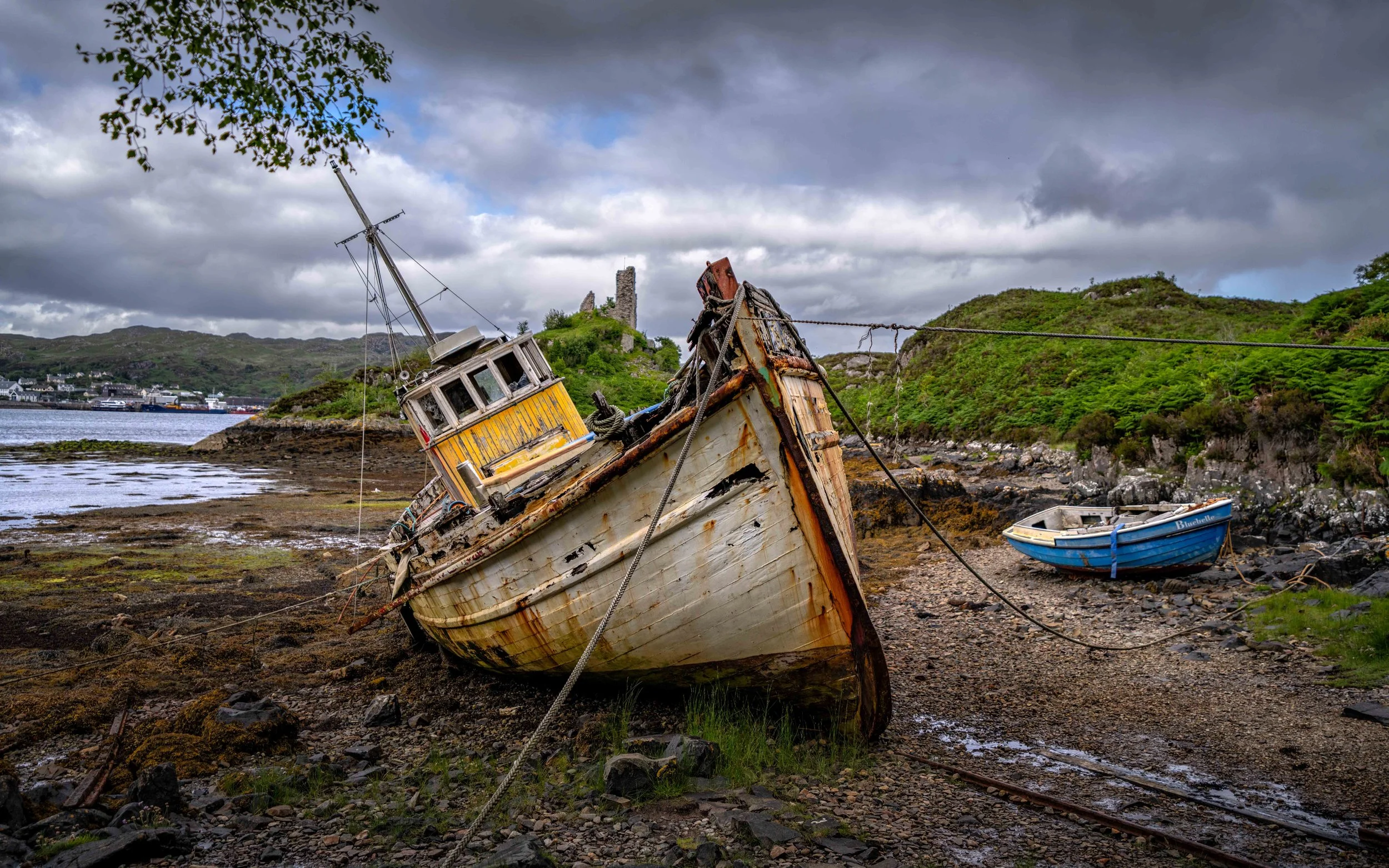 Scotland 2026-_DSC2135.jpg