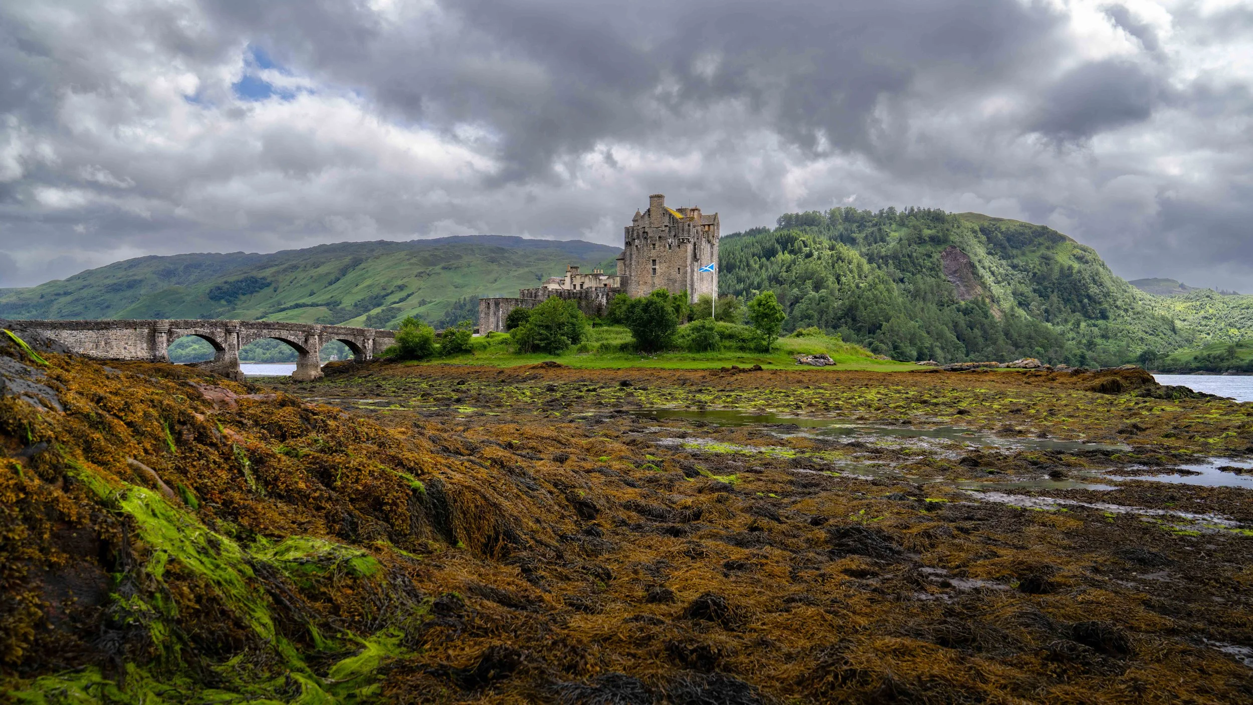 Scotland 2026-_DSC2107.jpg