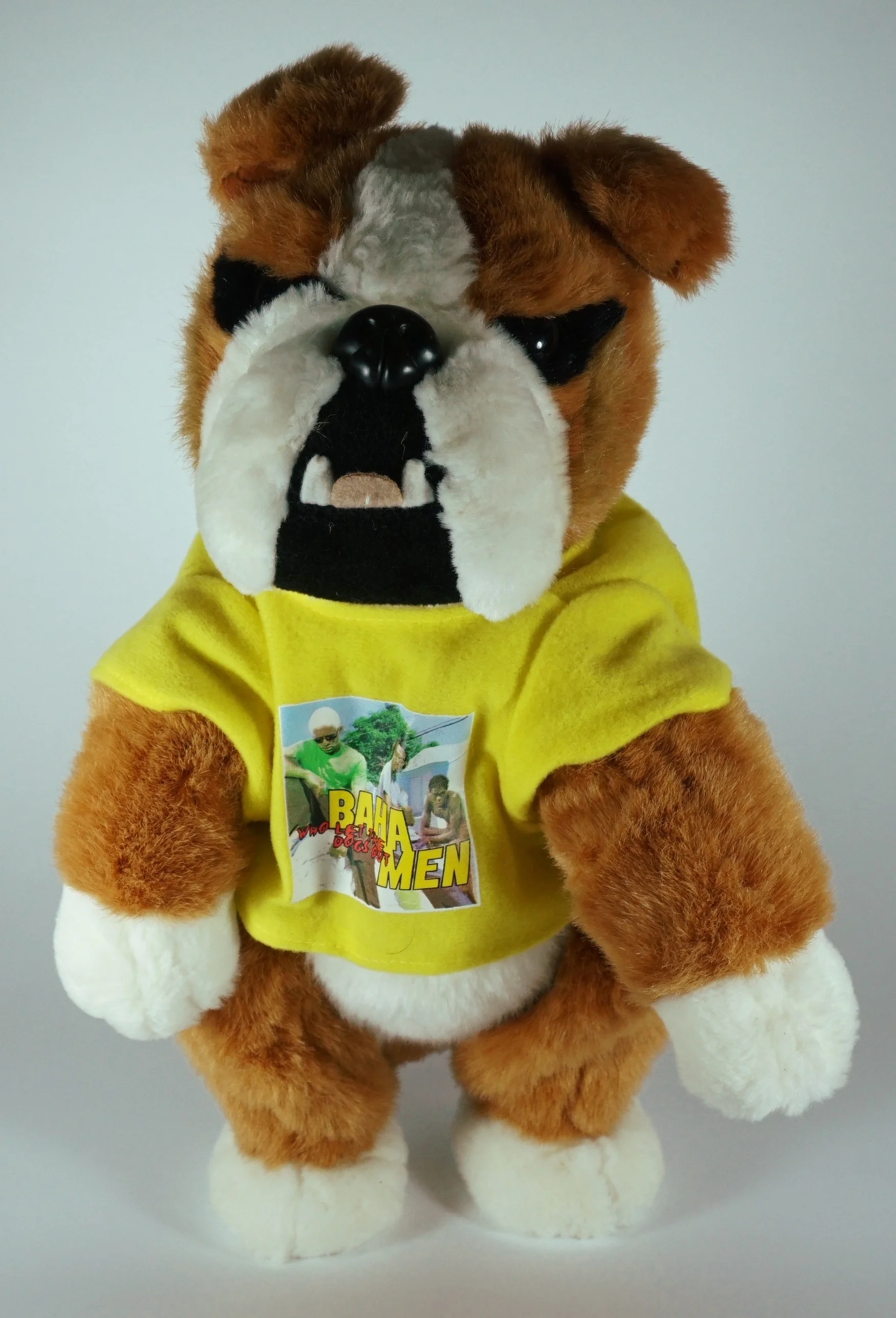 WLWLTDOO-2001-PACIFIC_INNOVATIONS-DOG_2-FRONT.jpg