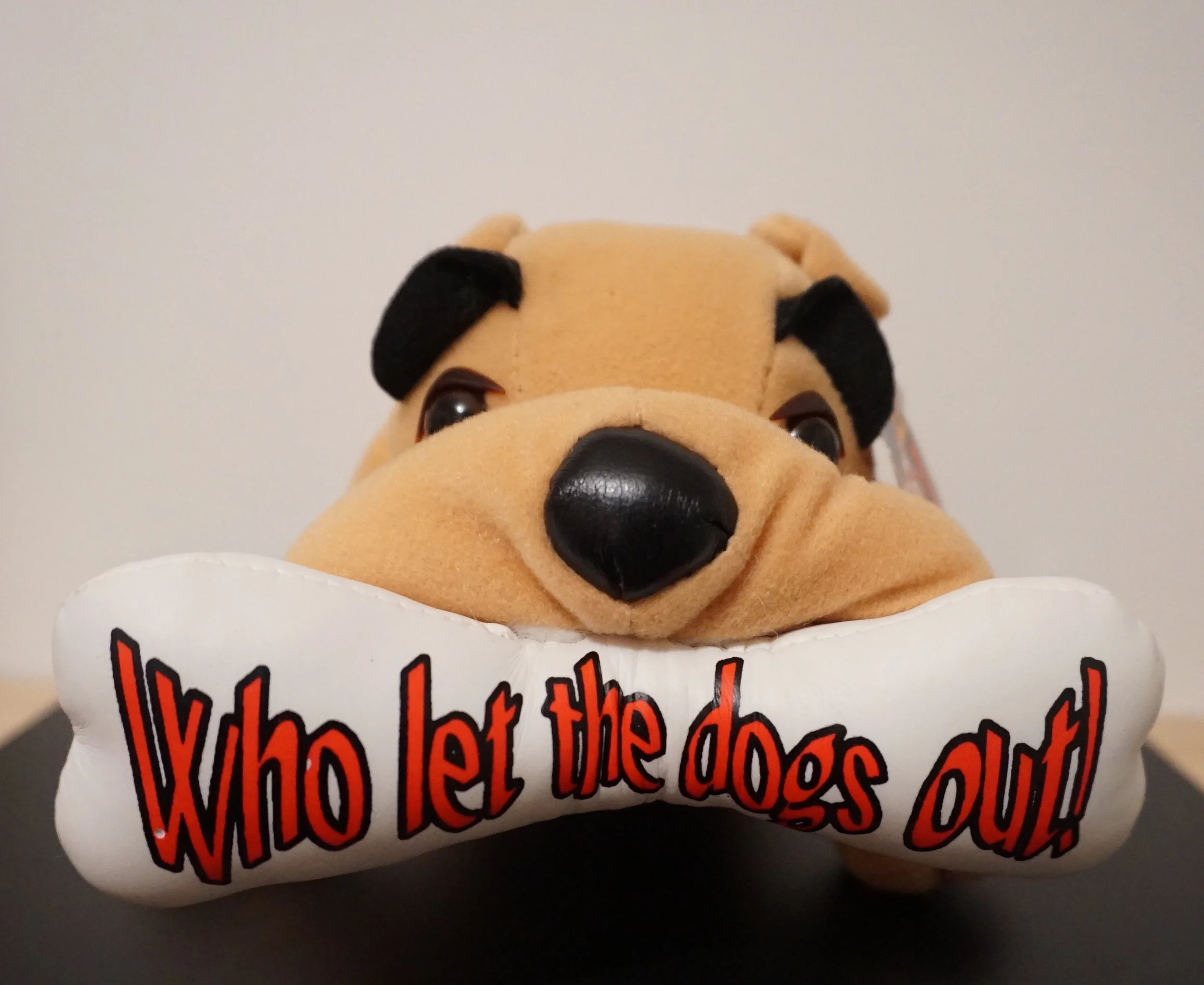 WLWLTDOO-XXXX-TOY-BIG_BONE-DOG-FRONT.jpg