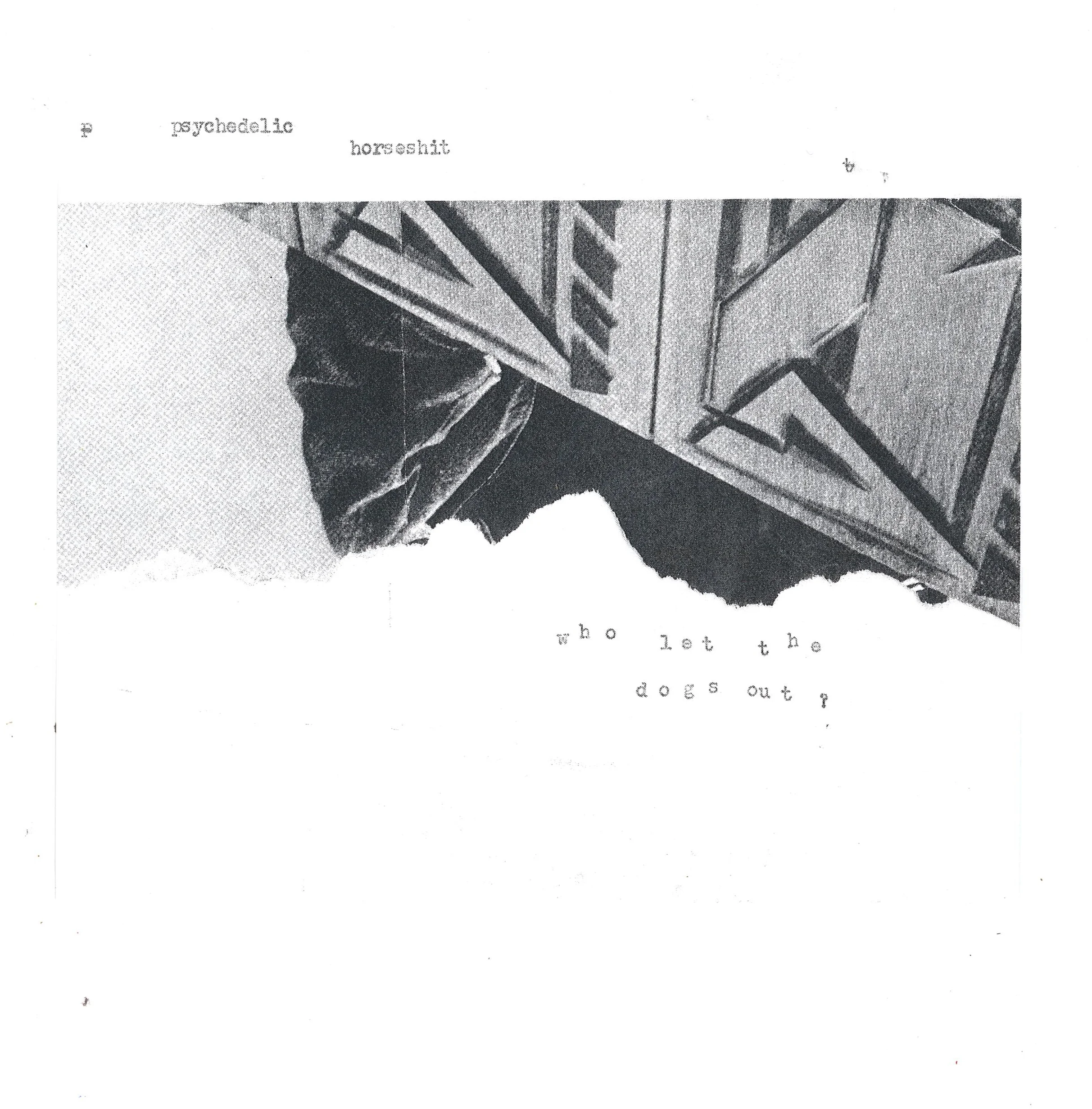 WLWLTDOO-2006-7-PSYCHEDELIC_HORSESHIT-WLTDO-FRONT-CDR015.jpg