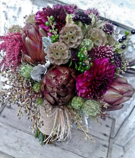 ping pong scabiosa.jpg
