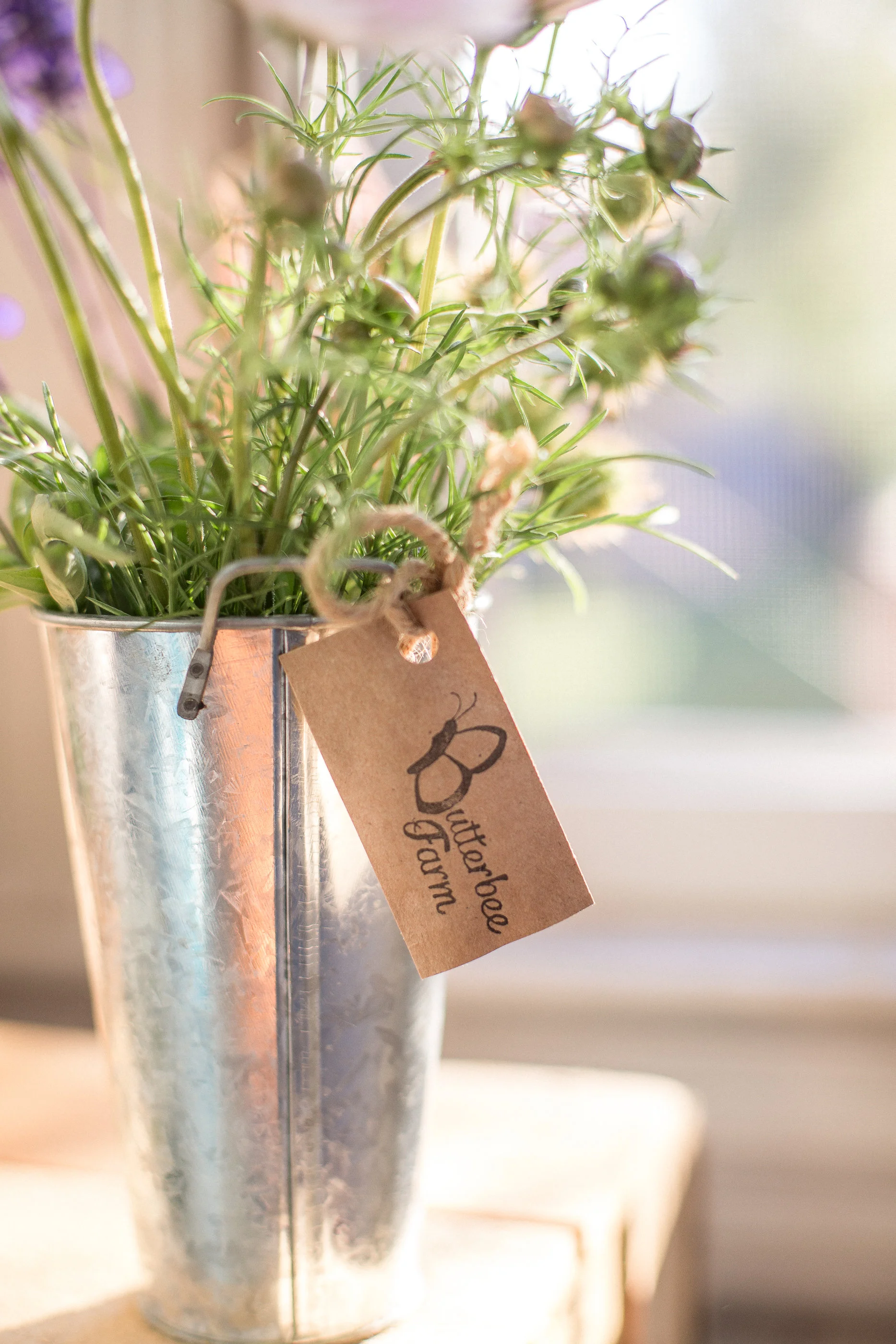 inside scoop: how a csa happens