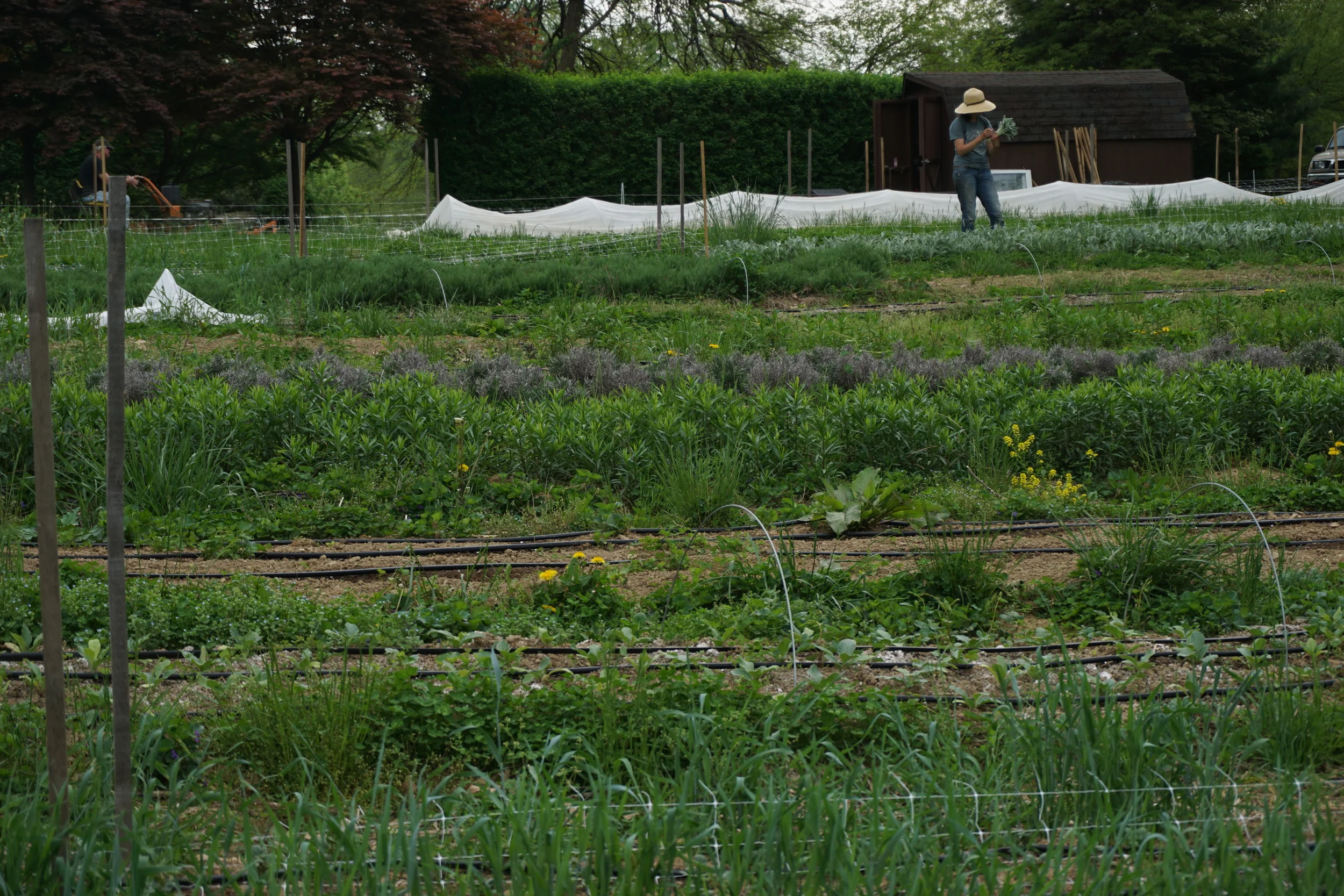 a day in the life, or, productivity ensues when you eat french toast for breakfast