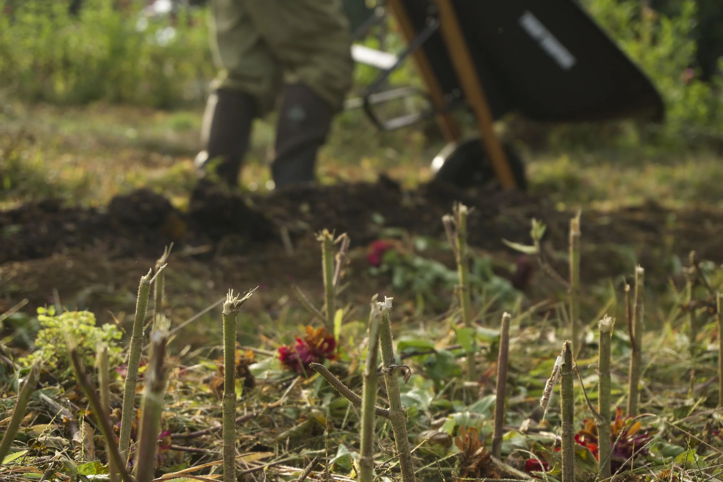 we need to grow more stuff