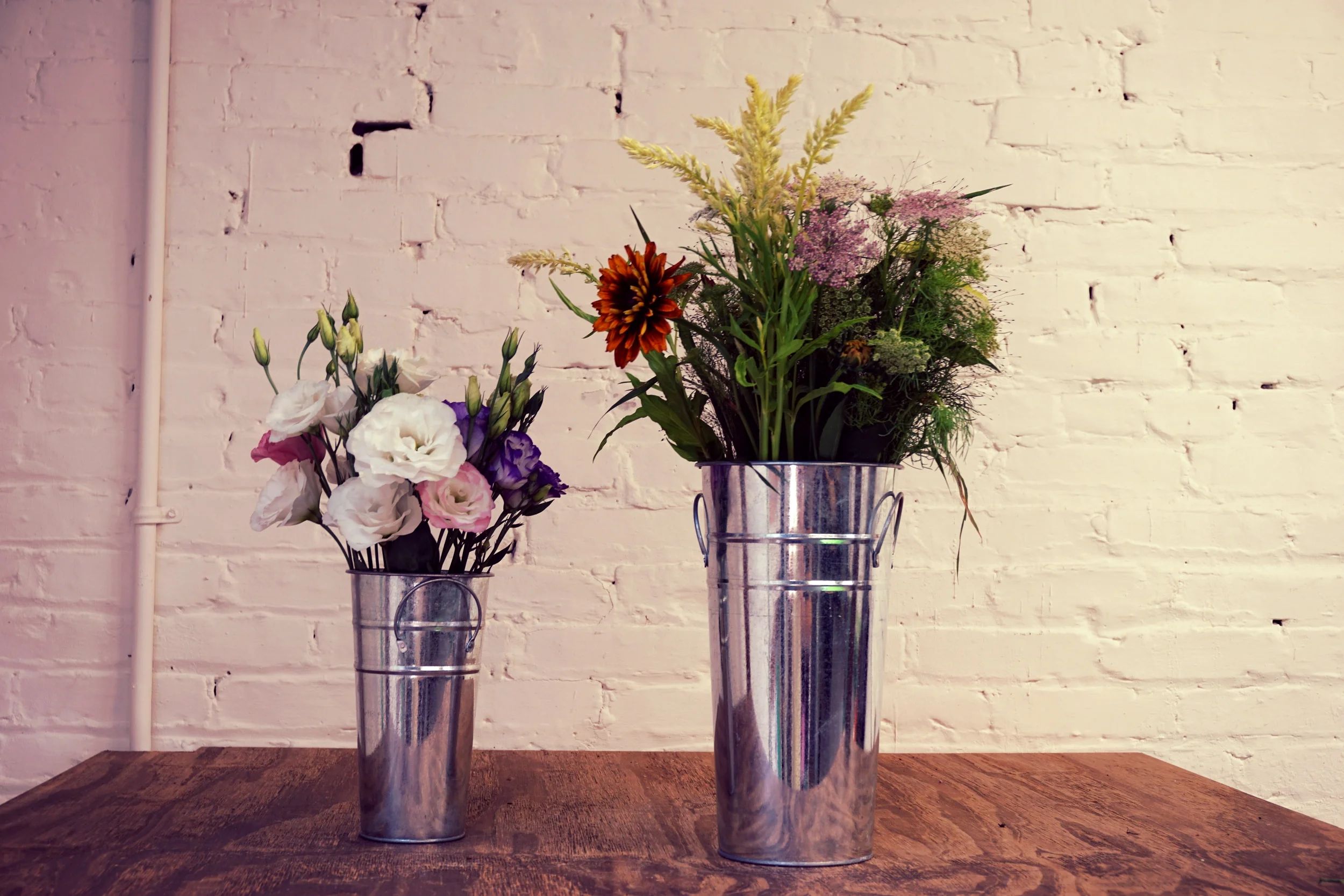 a Butterbee CSA share