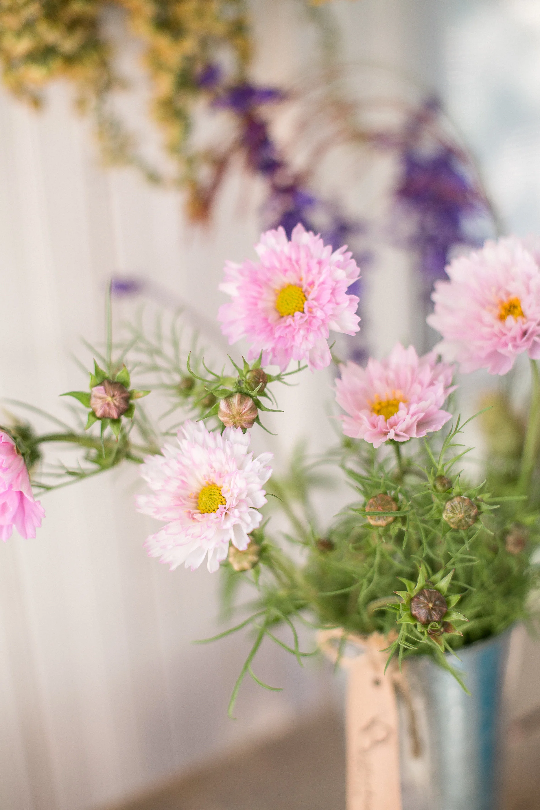 presents for your honeygroundhog