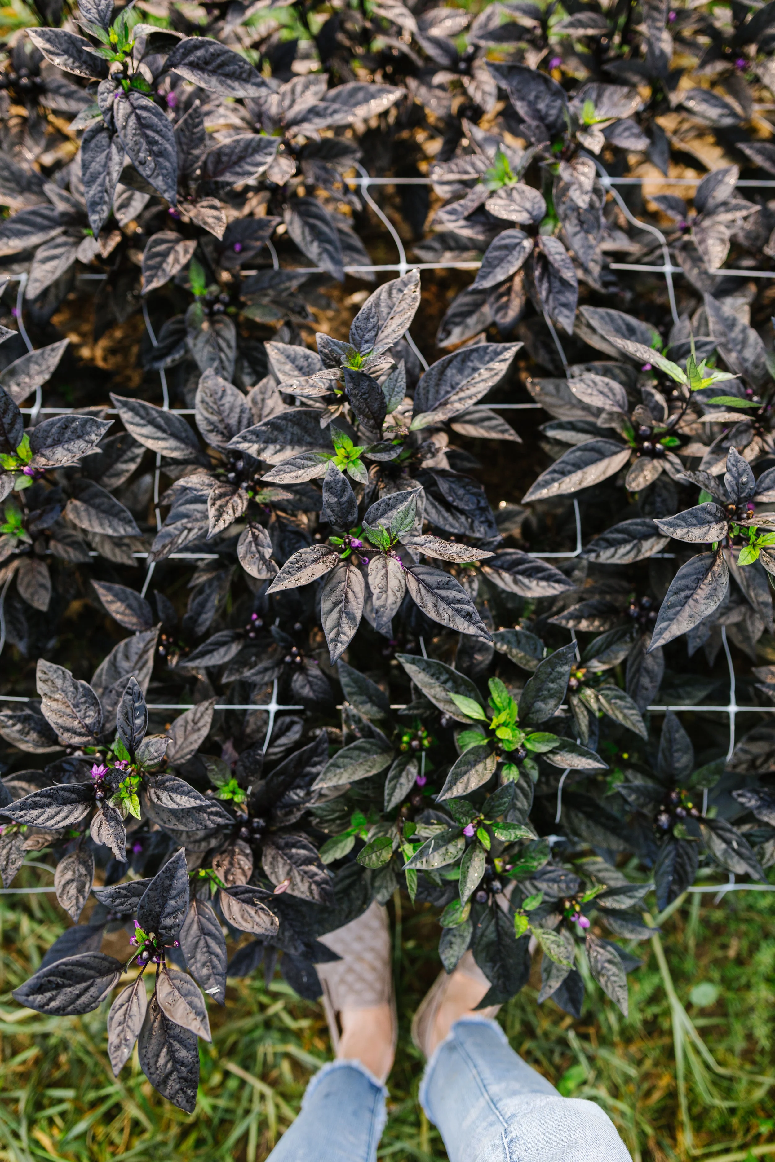 breathe- it's october