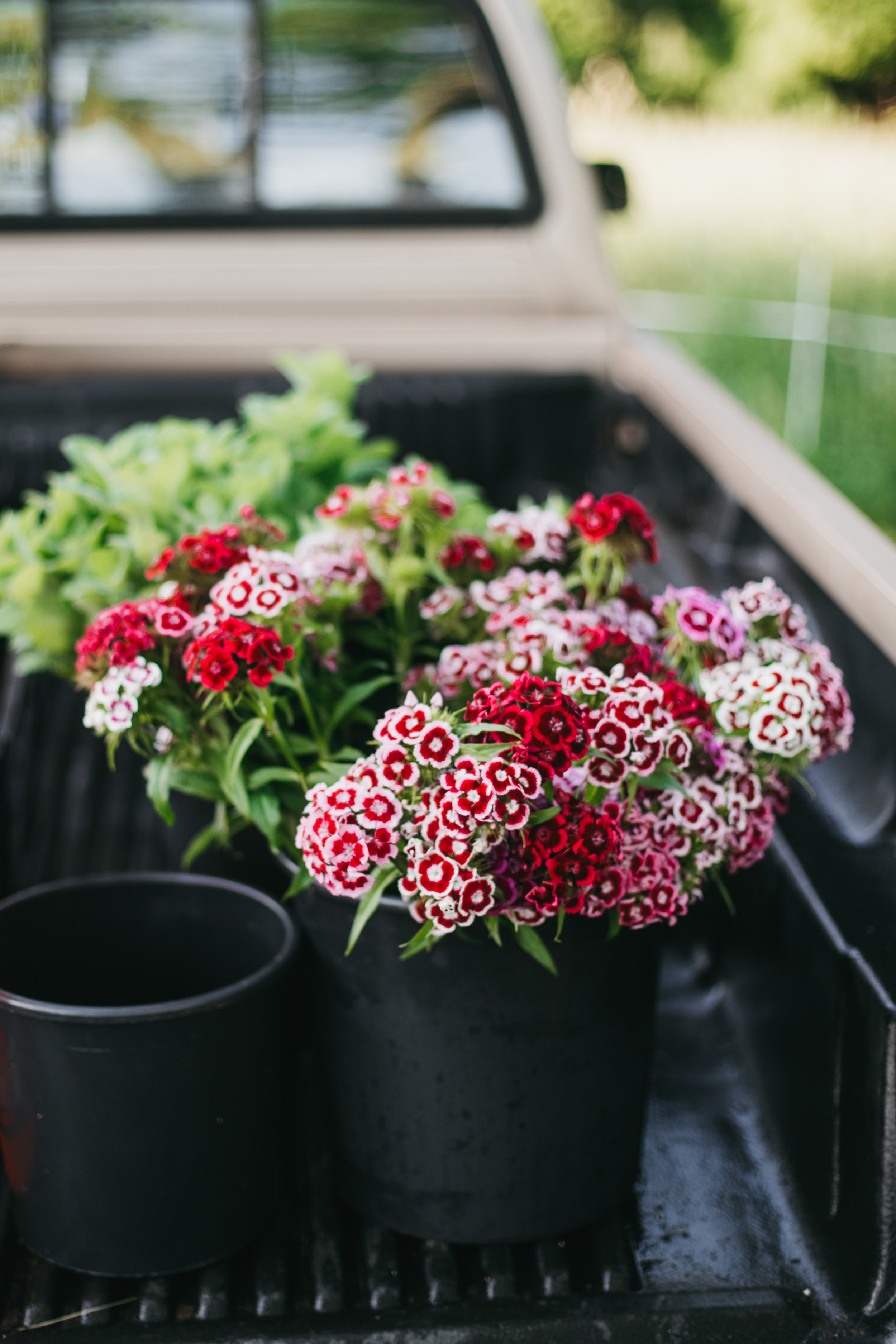 winter hibernation means dreaming of spring