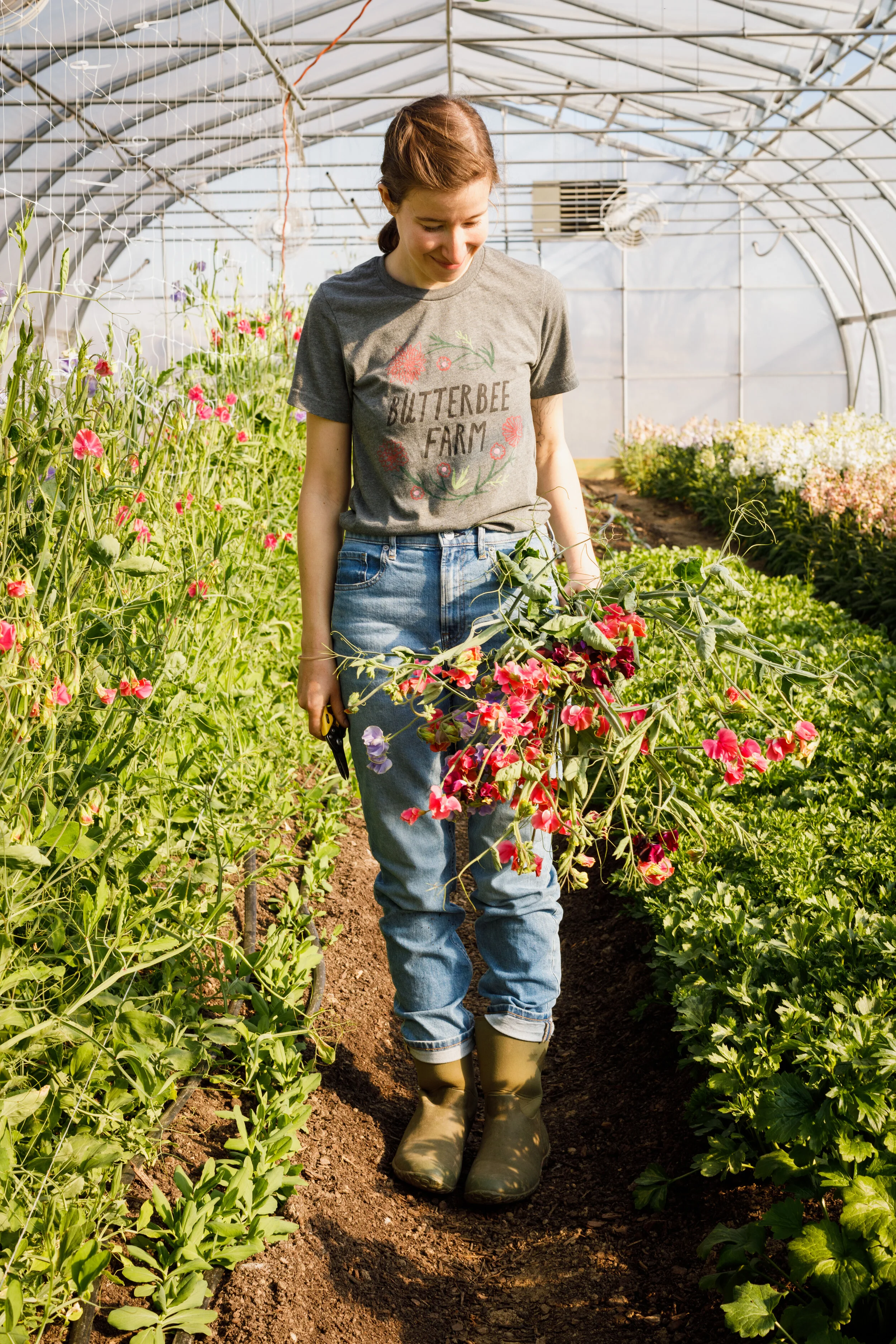 Our Plant Sale is Online!