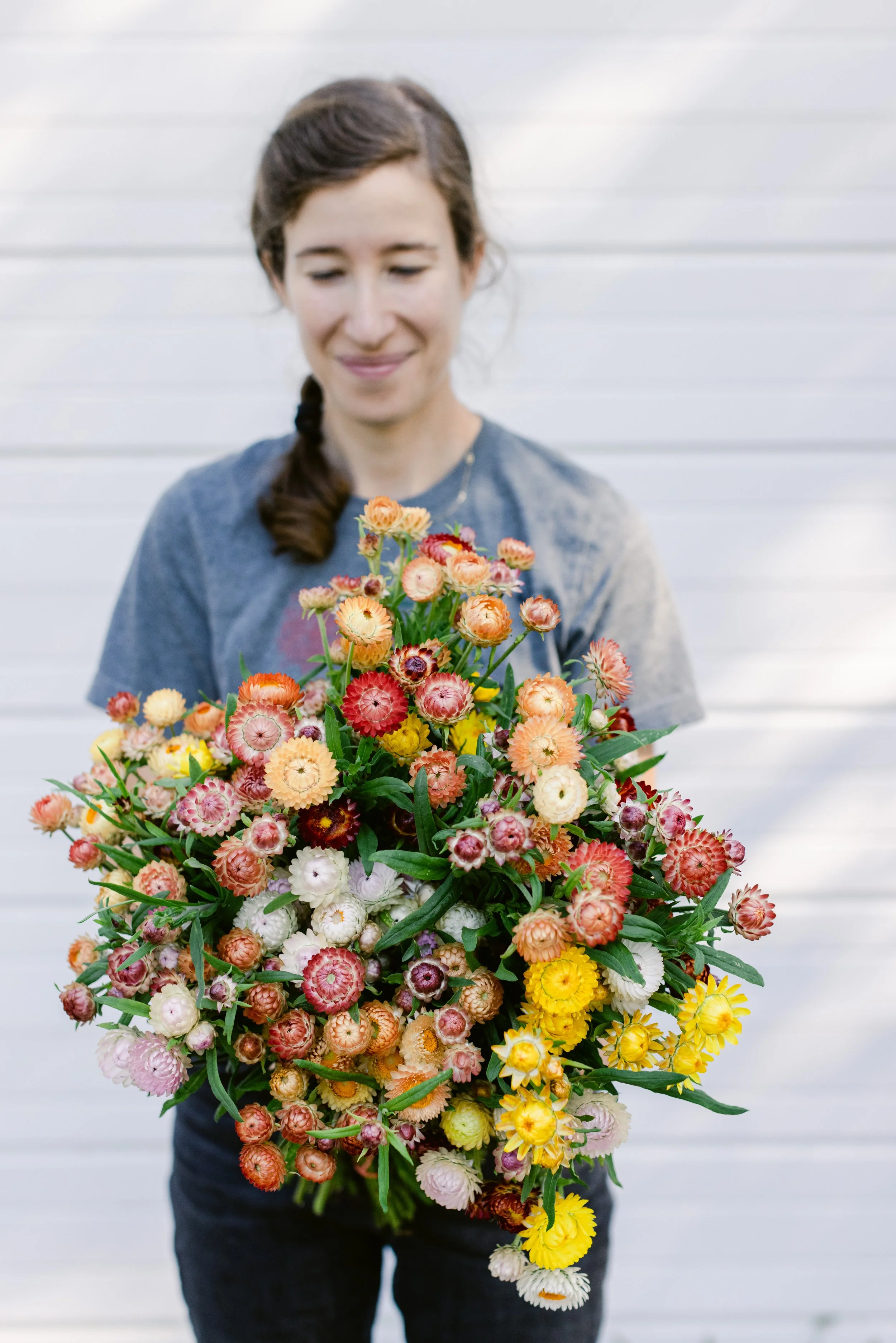 Strawflower Bright Mix